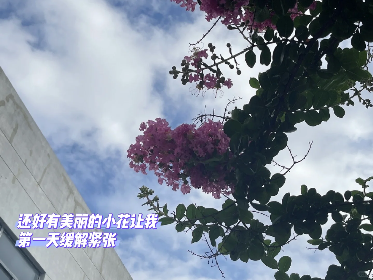 ✨30岁新晋采购经理Day 1｜通勤1小时也挡不