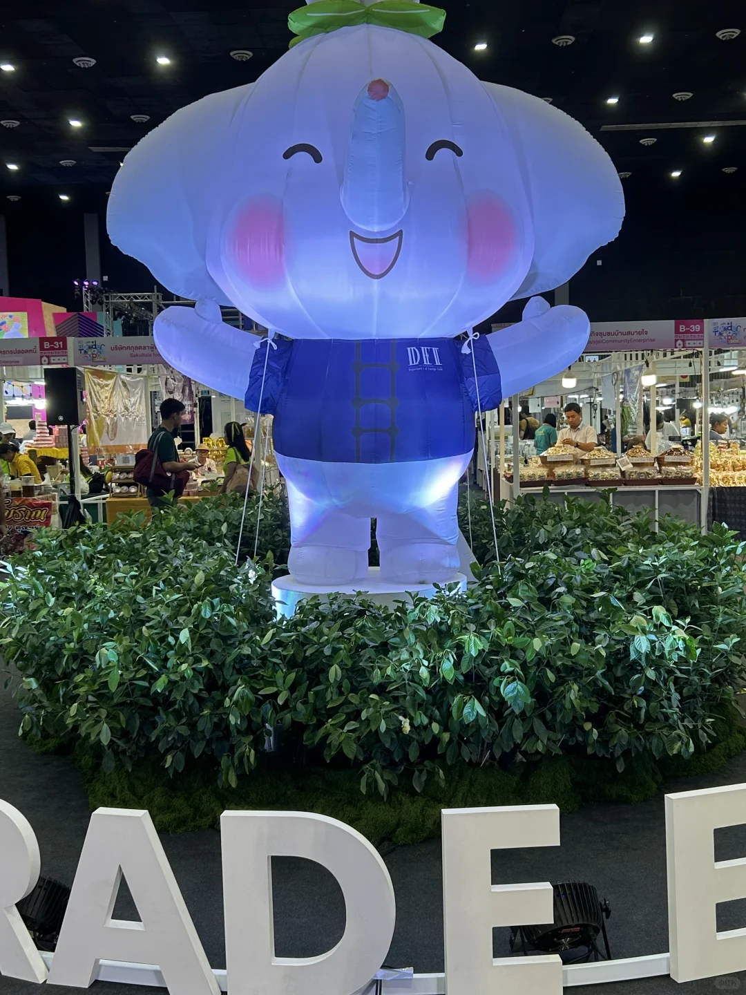 兰纳博览会Lanna Expo