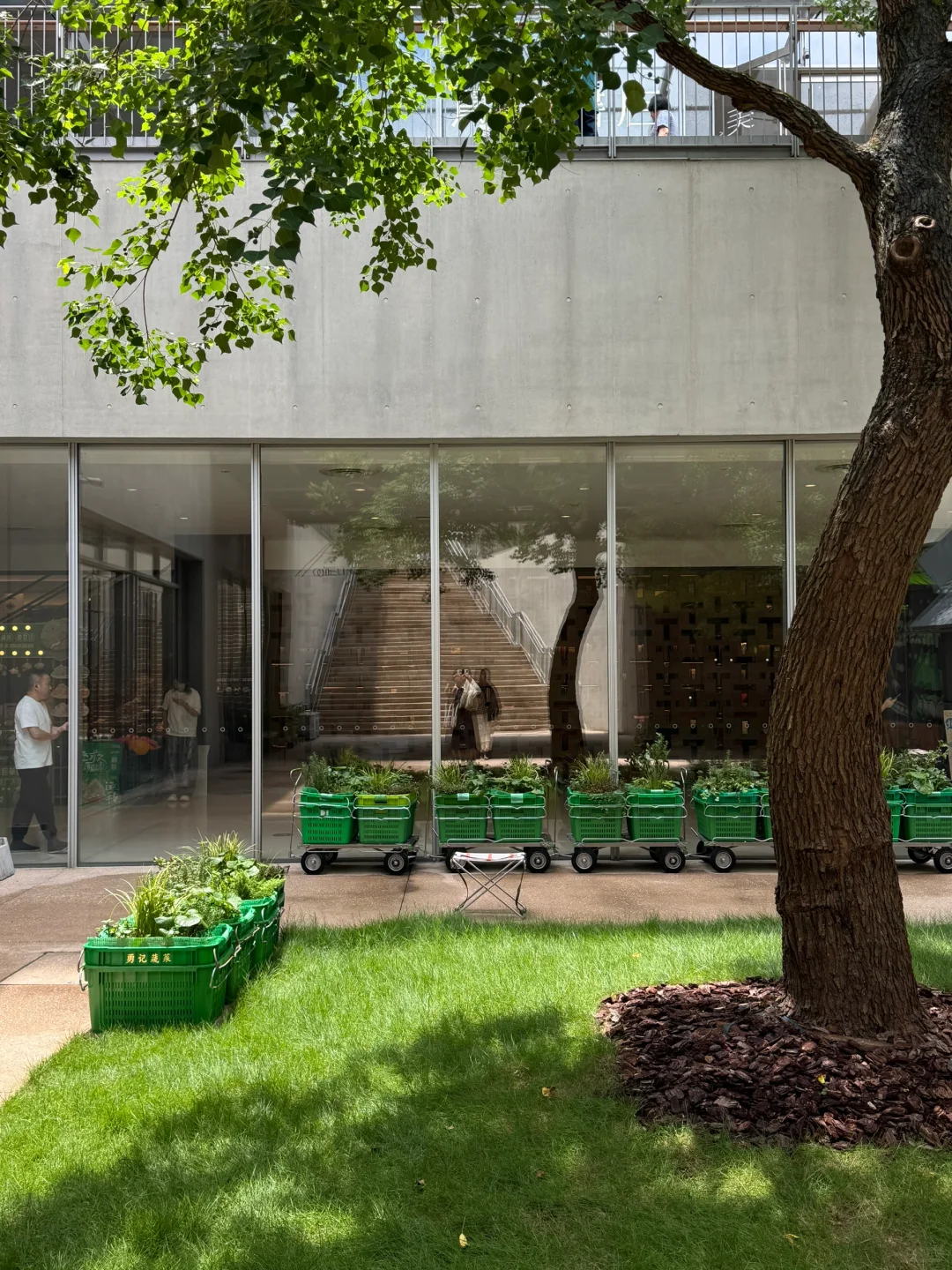 菜市场还能这么潮？乌厩市集逛成设计展