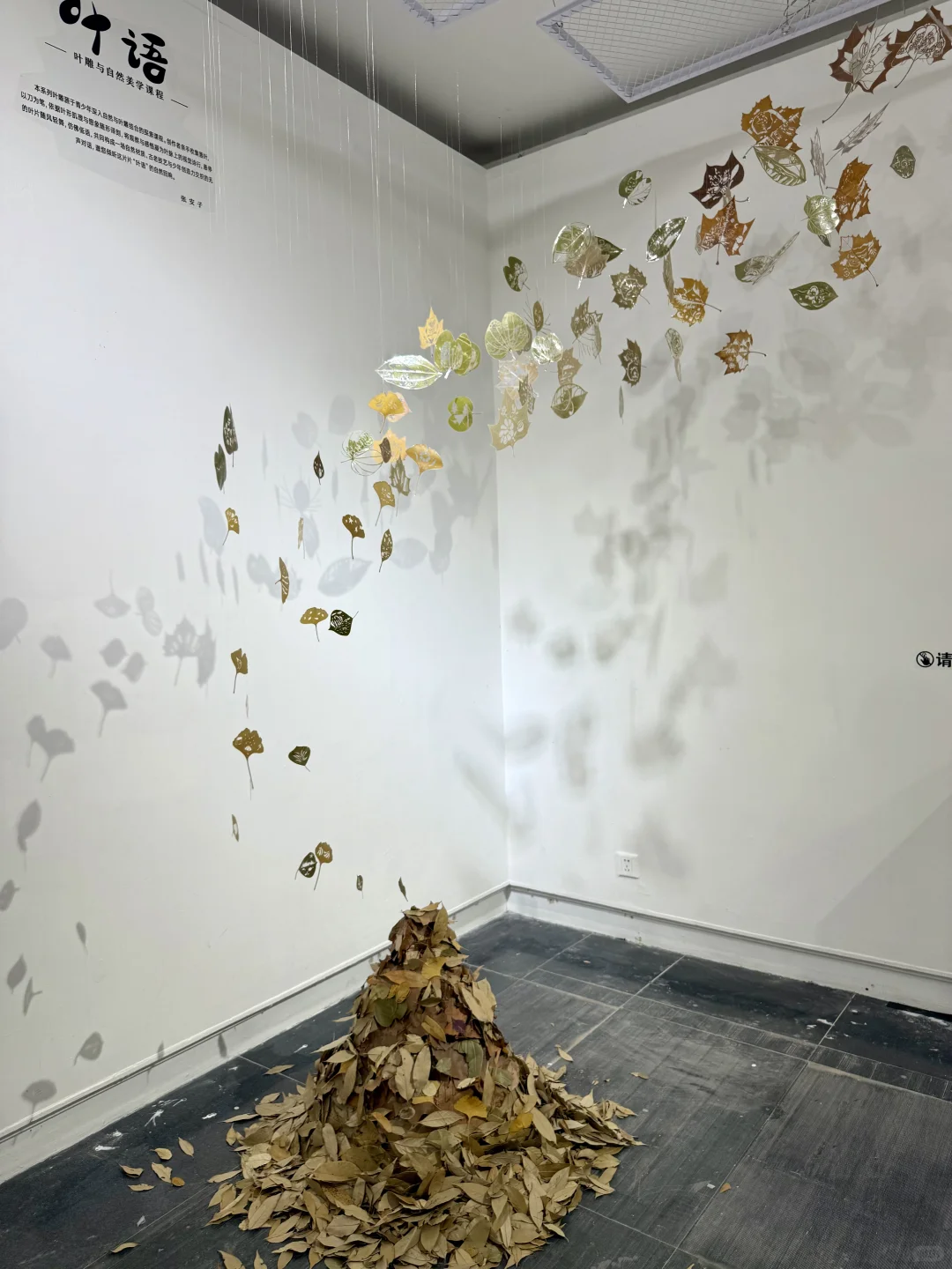 广美毕业展杀疯了！！！这届设计是神仙打架吧！