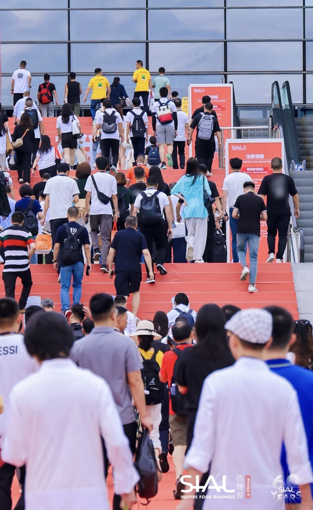 深圳展直播选品团