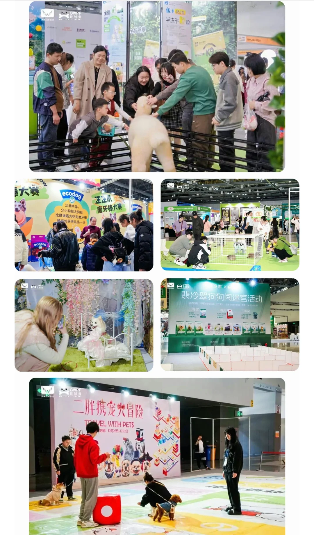 相约武汉世宠会特惠门票20啦‼️攻略送你