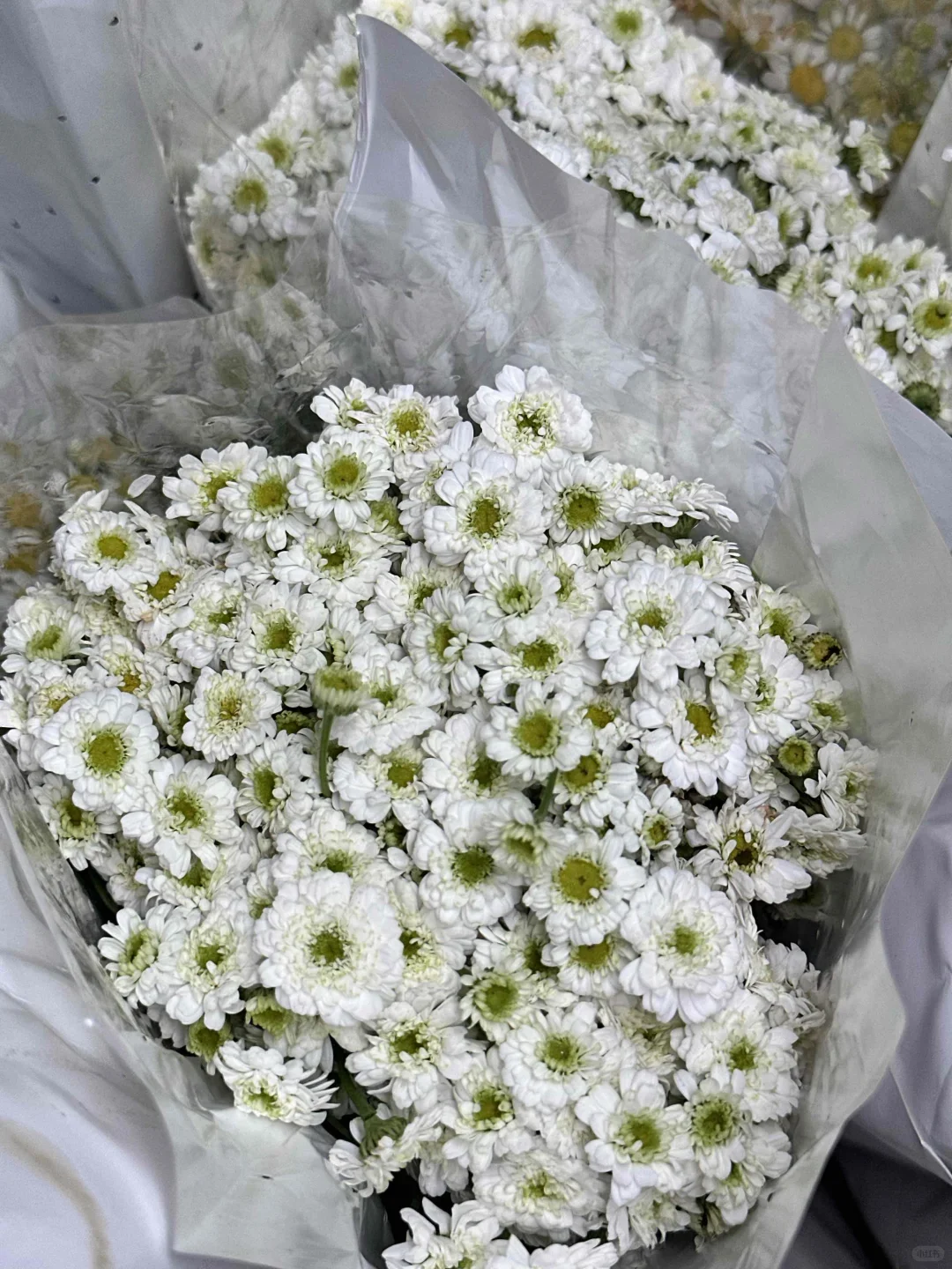 ?台州鲜花团购，花界 “pdd” 实锤！