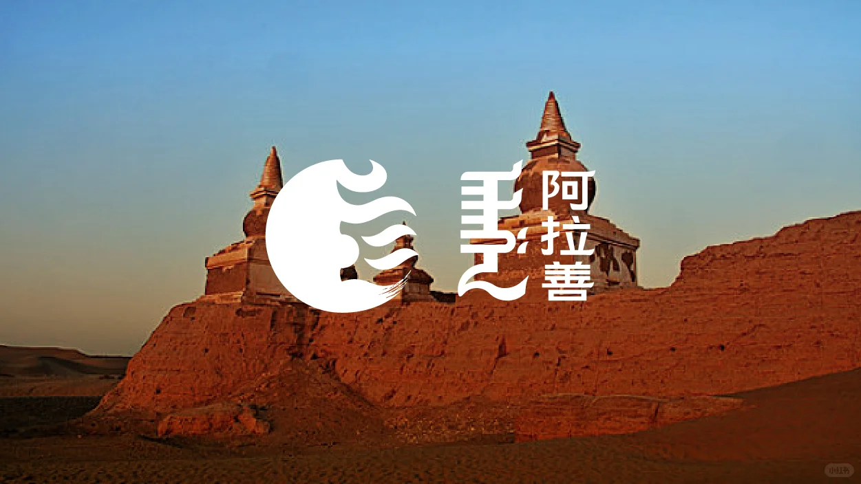 5/8DesignLab | 阿拉善盟城市品牌形象打造2