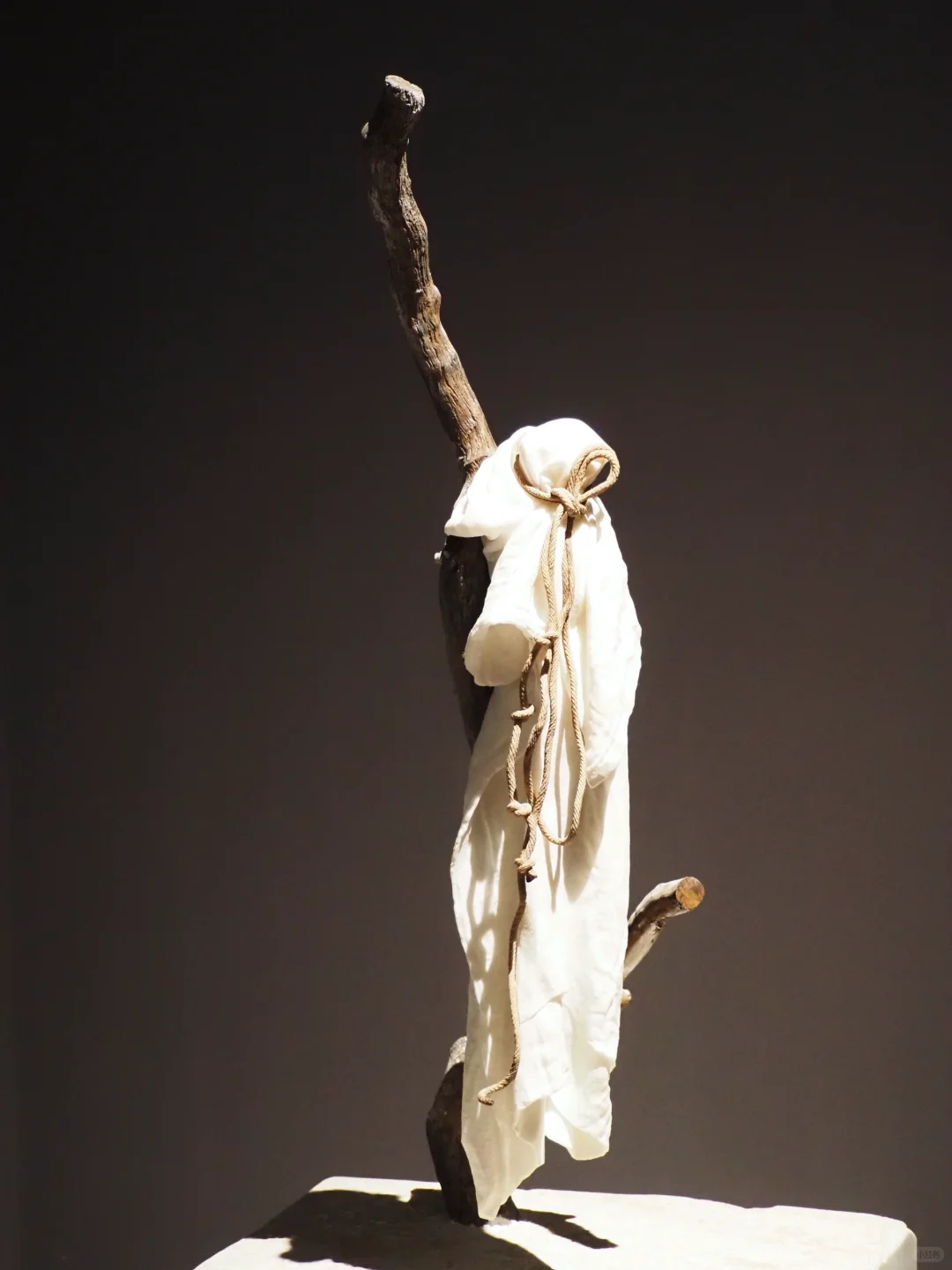 惠安石雕展：这些居然都是用石头做的⁉️