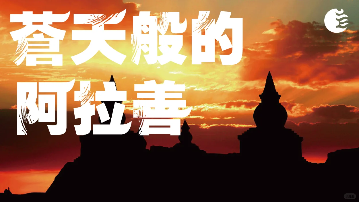 5/8DesignLab | 阿拉善盟城市品牌形象打造2