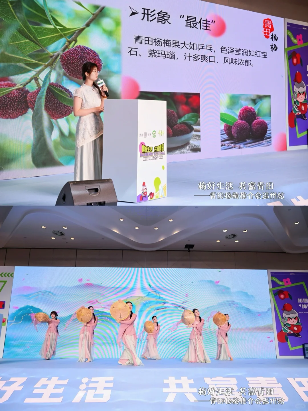 活动回顾｜?青田杨梅温州推介会也太会了吧～