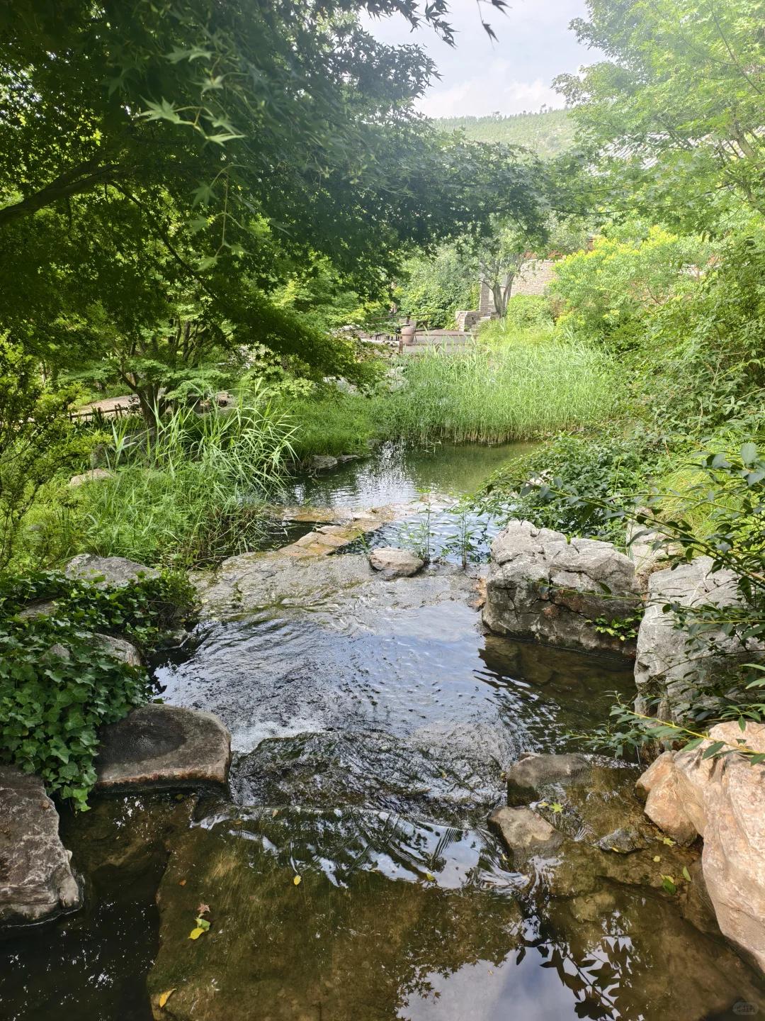 40岁的我和70岁的老妈，希望时光再慢一点