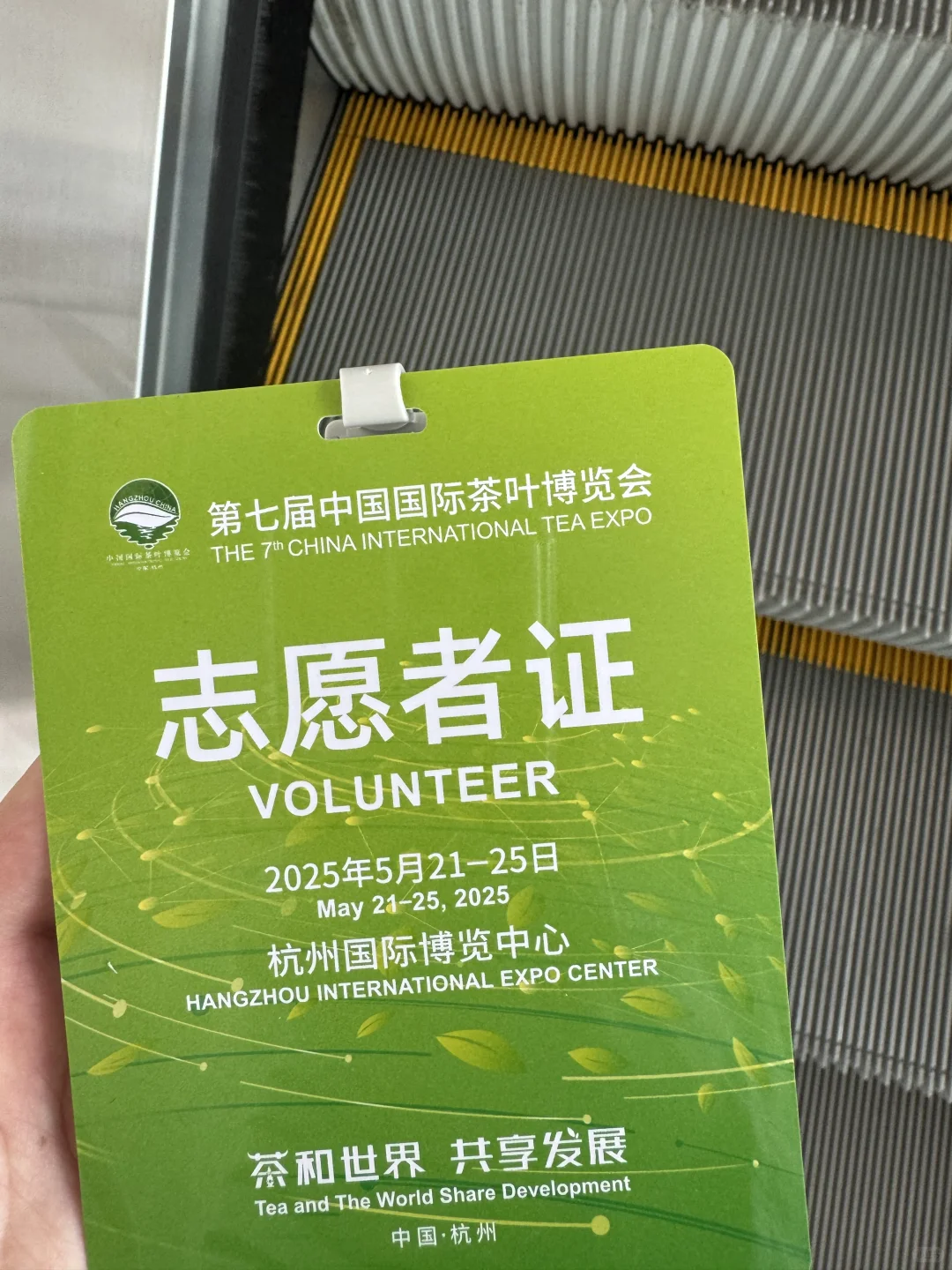 杭州茶博会，我来啦！！！