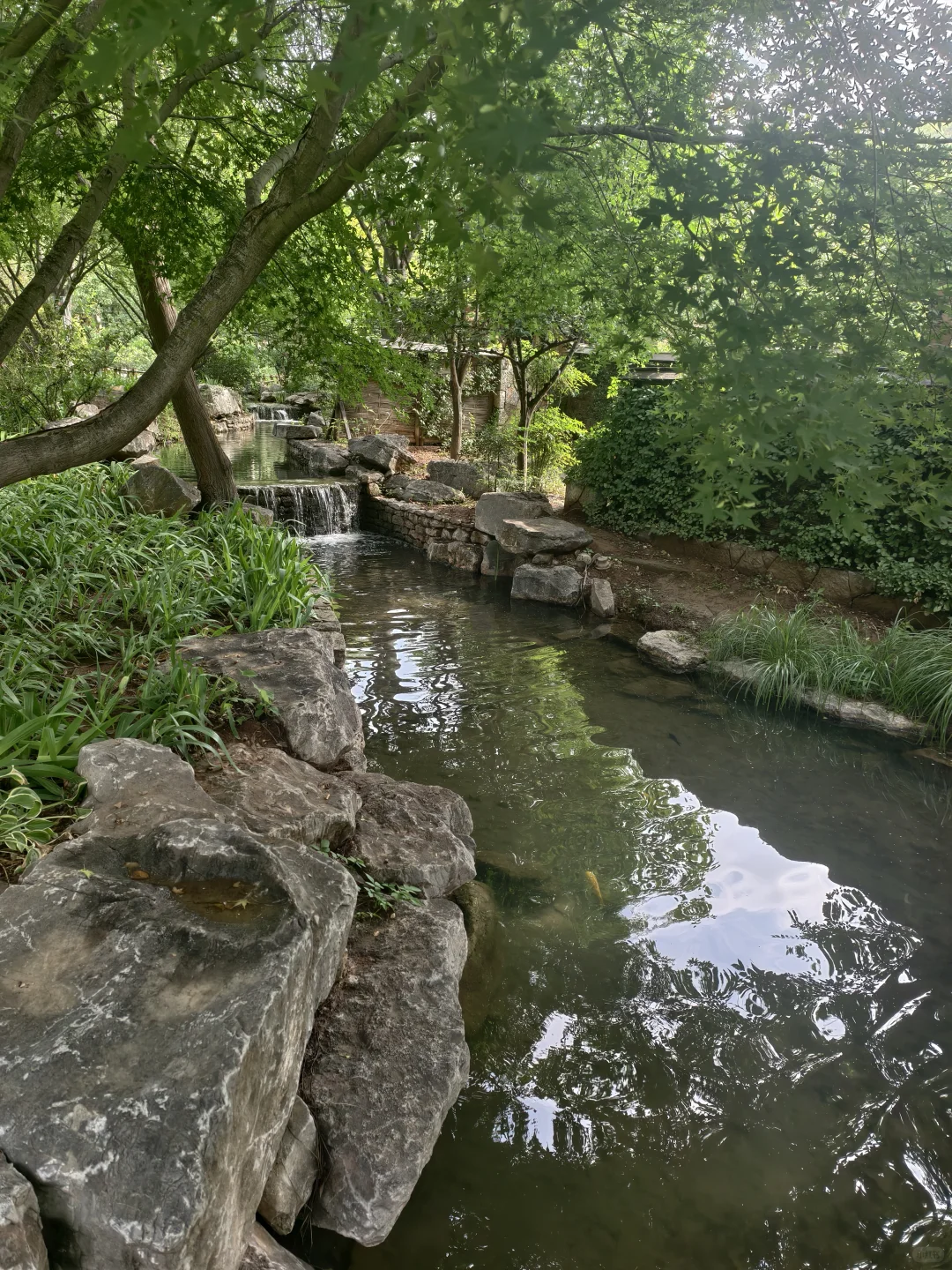 40岁的我和70岁的老妈，希望时光再慢一点