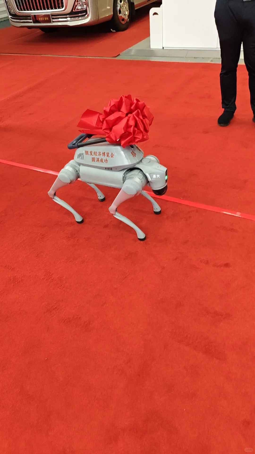 长春农博园银发经济博览会