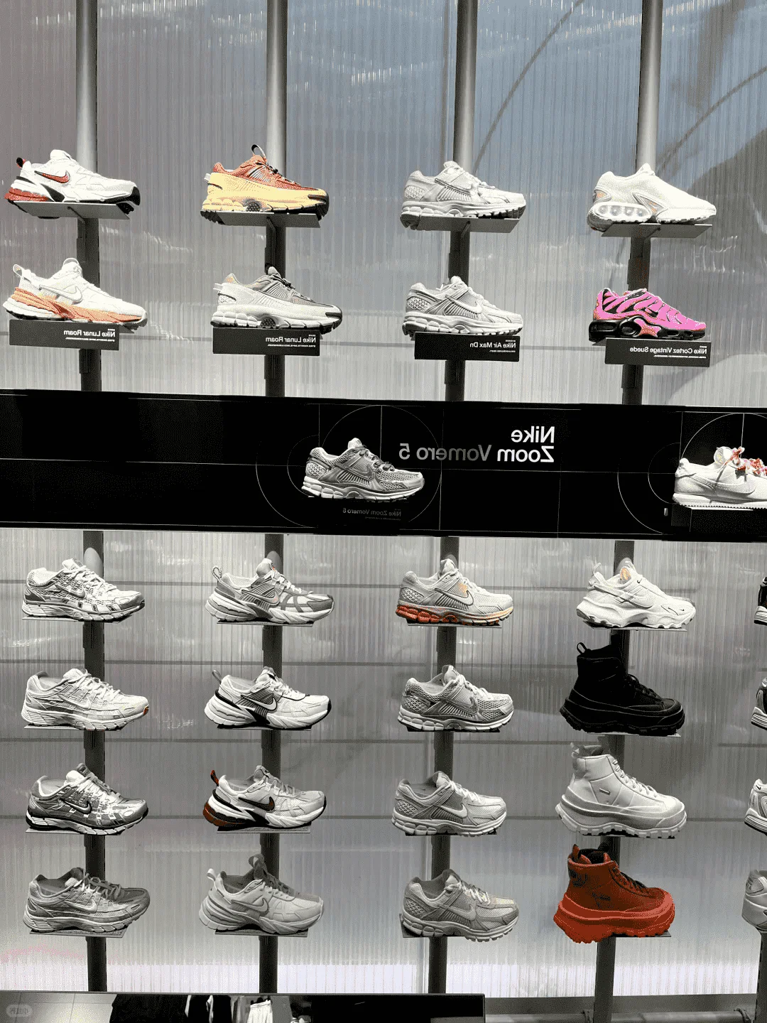 Nike新墙356dunk 可带！