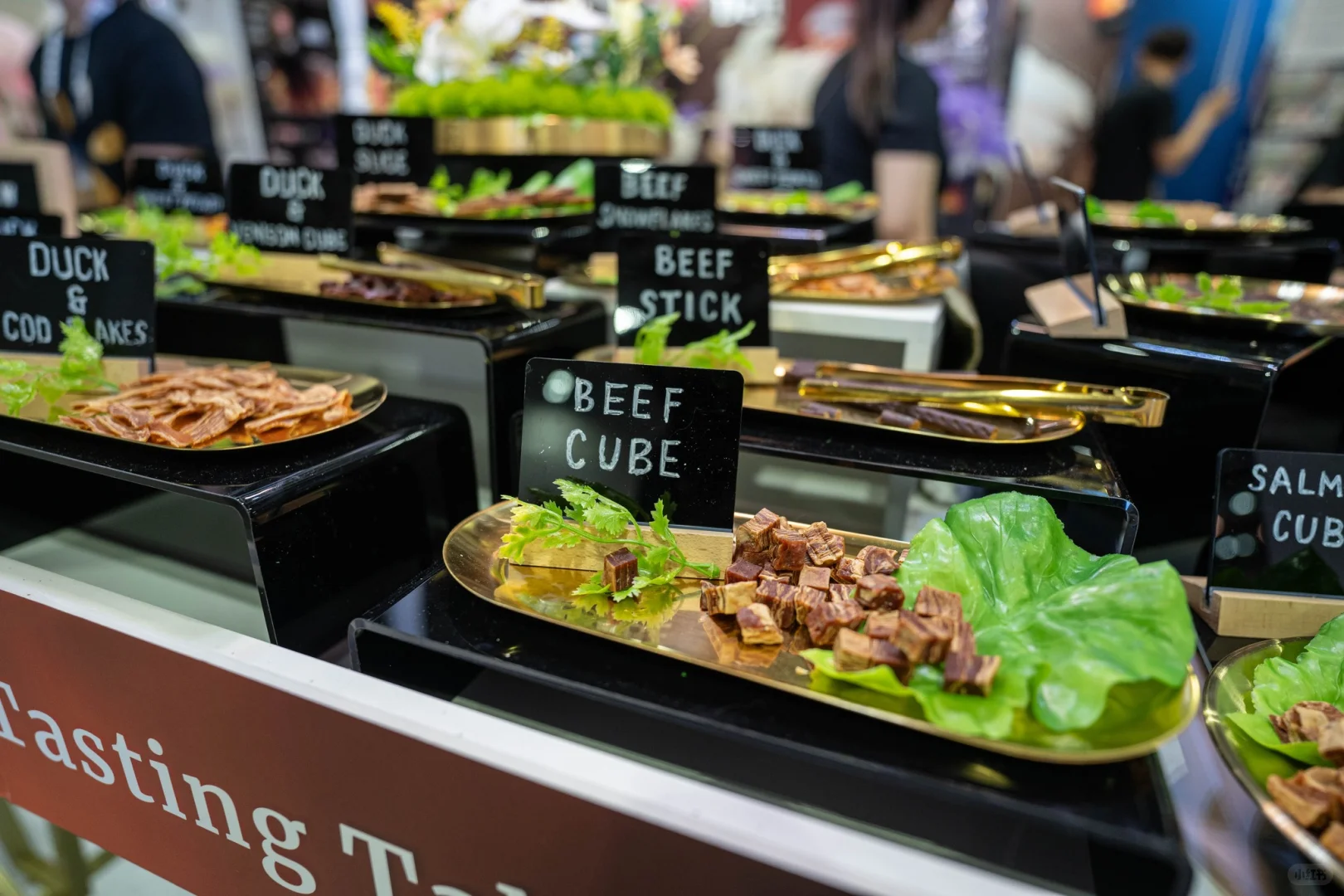 ?? 新加坡最大宠物节来了！毛孩专属天堂?