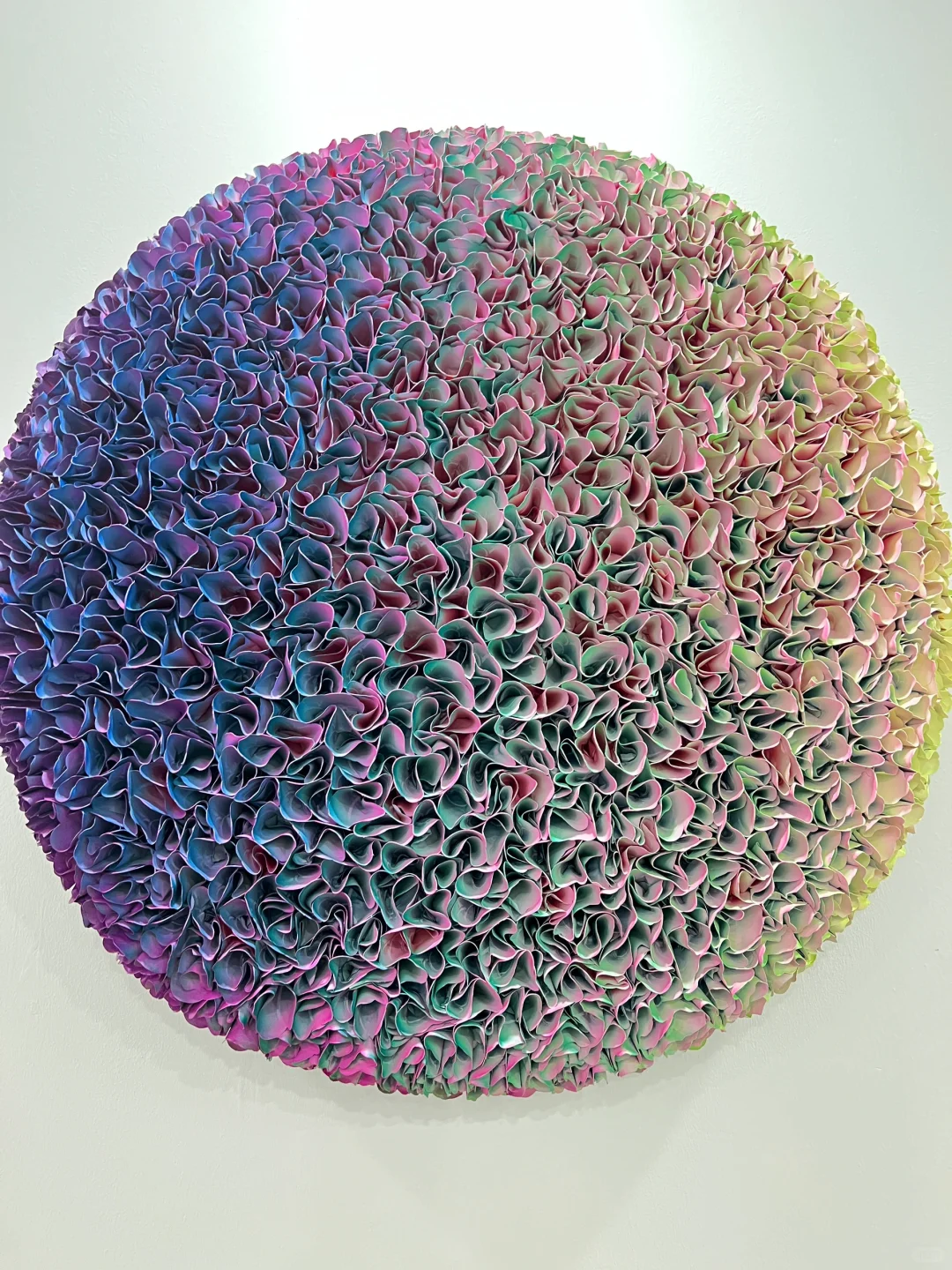 ｜｜“文案很短，今日看展”