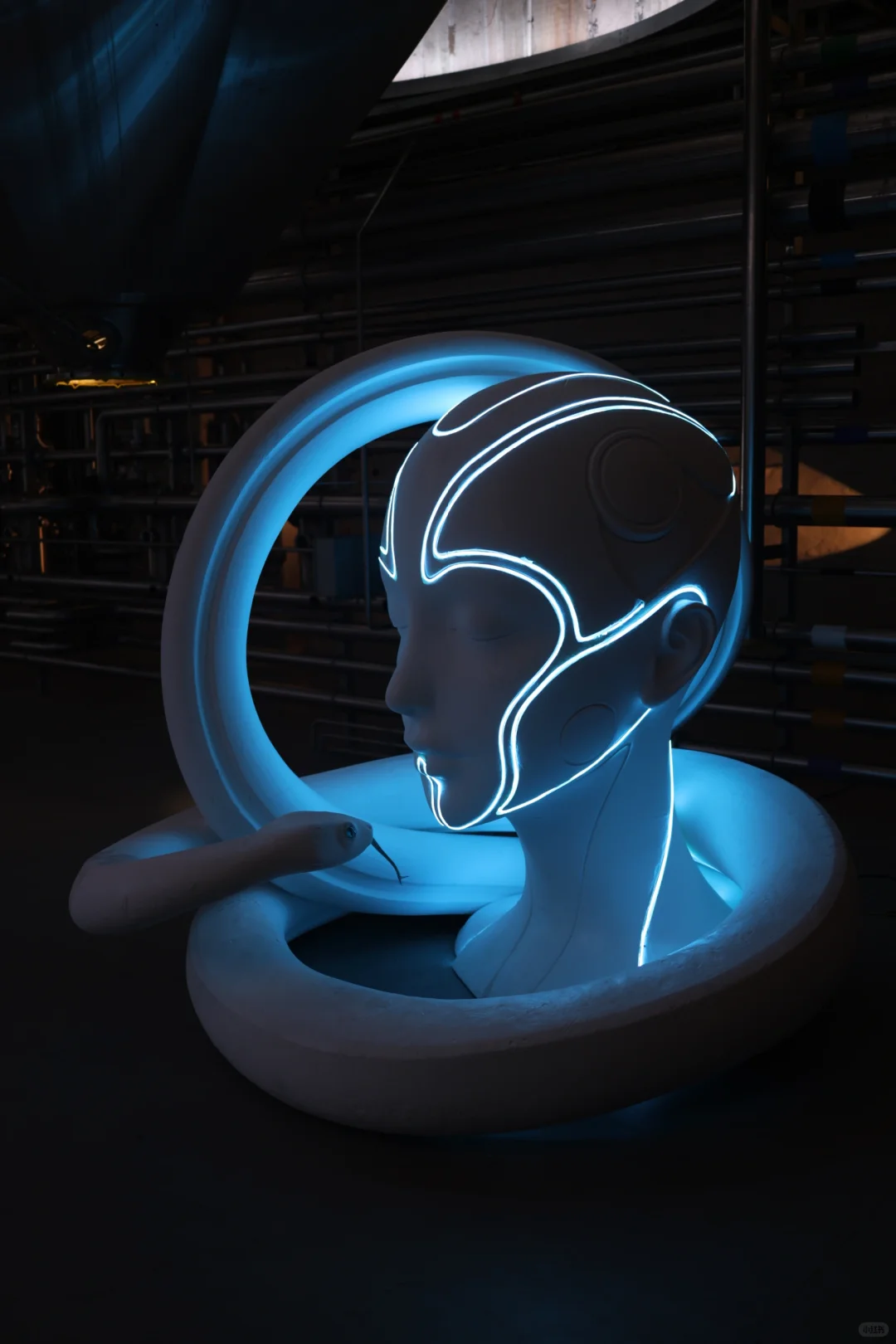 深圳炒鸡出片新展?先锋花园