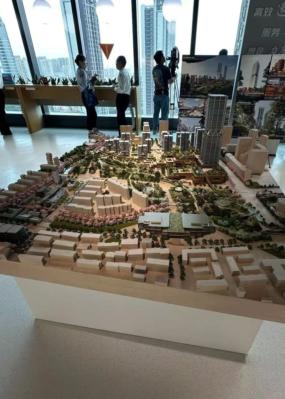 受邀参加普陀真如土地推介会