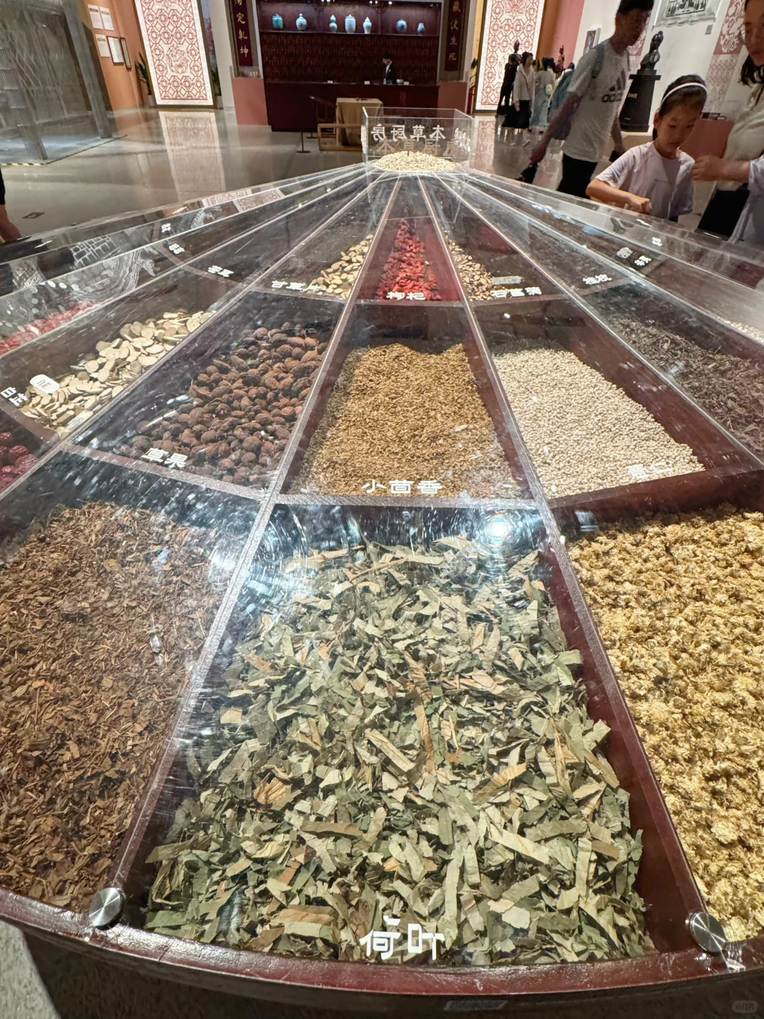 暑假来北京看工美，来自国家级审美的震撼❗️