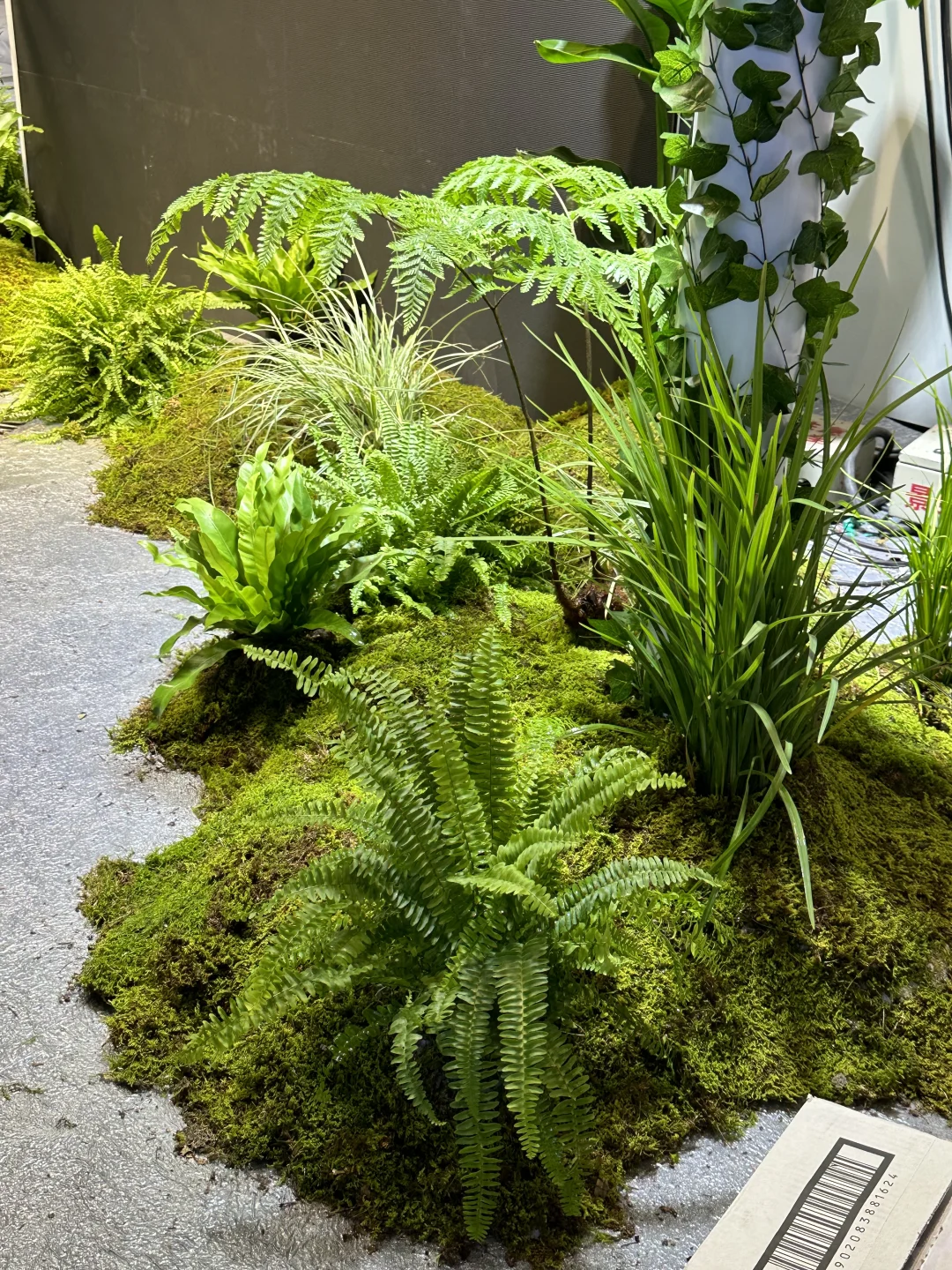 ???☘️?｜上海展会绿植布置