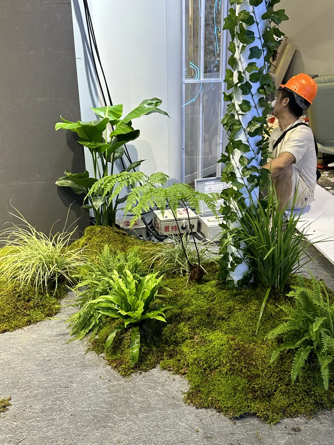 ???☘️?｜上海展会绿植布置