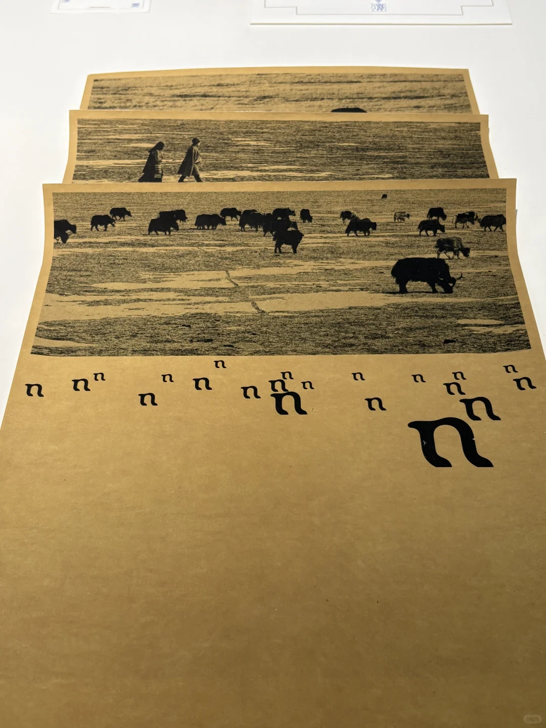 Award 360°｜ 年度设计展