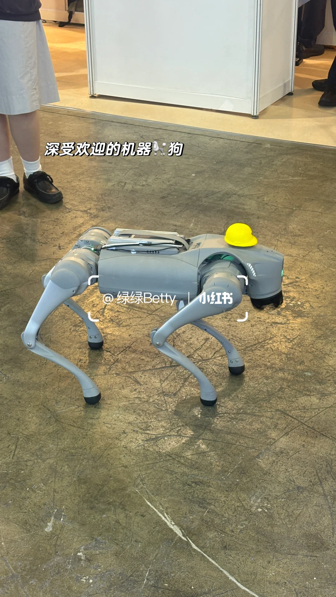 周末生活｜有趣的??“学而教”博览会❗️