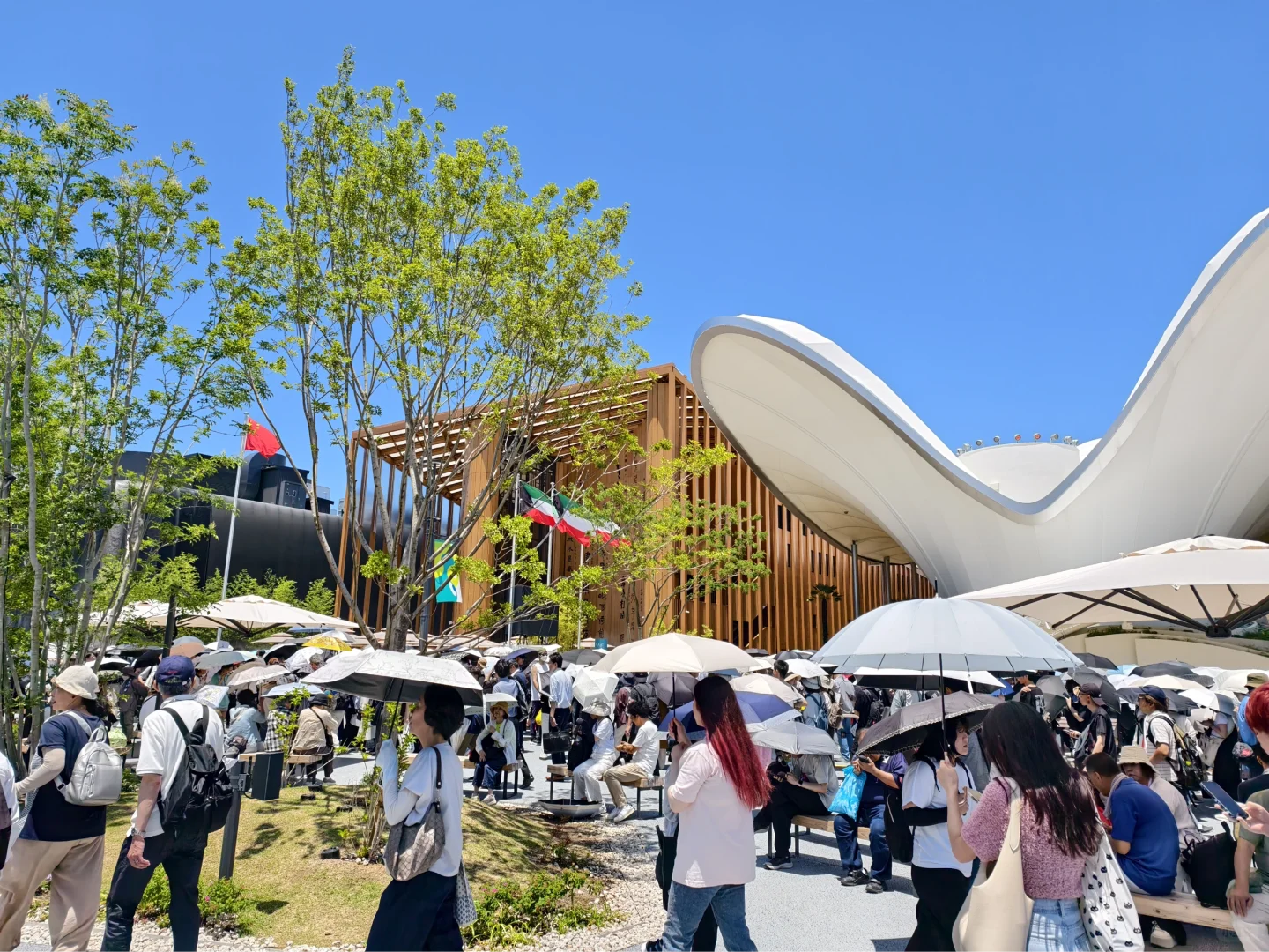 大阪世博会止损攻略，来都来了怎么办？