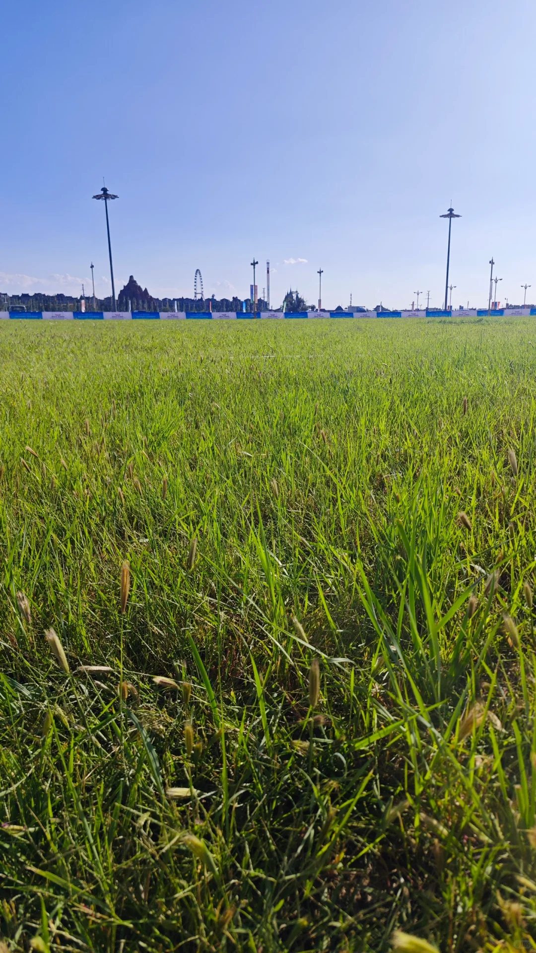 中蒙博览会去了