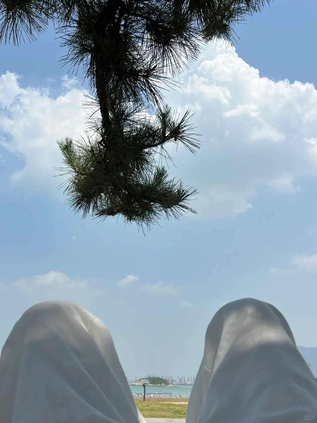 穿亚麻夏日在海边