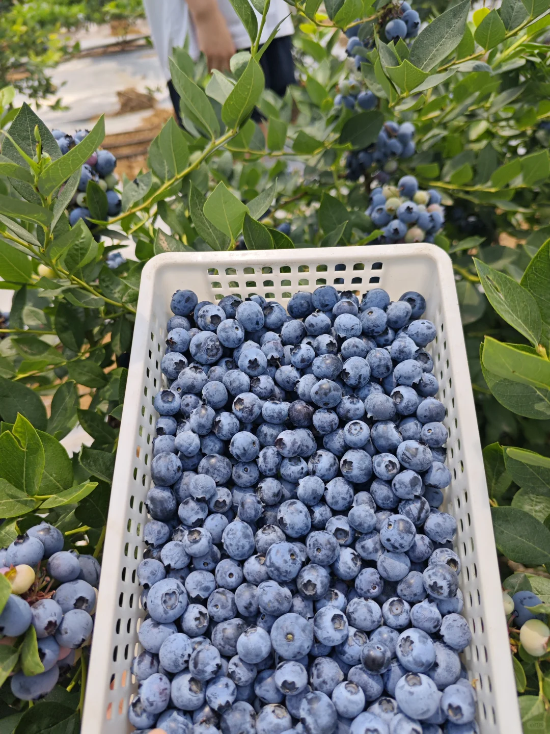 分享七月的团购，上门取件，驿站日常