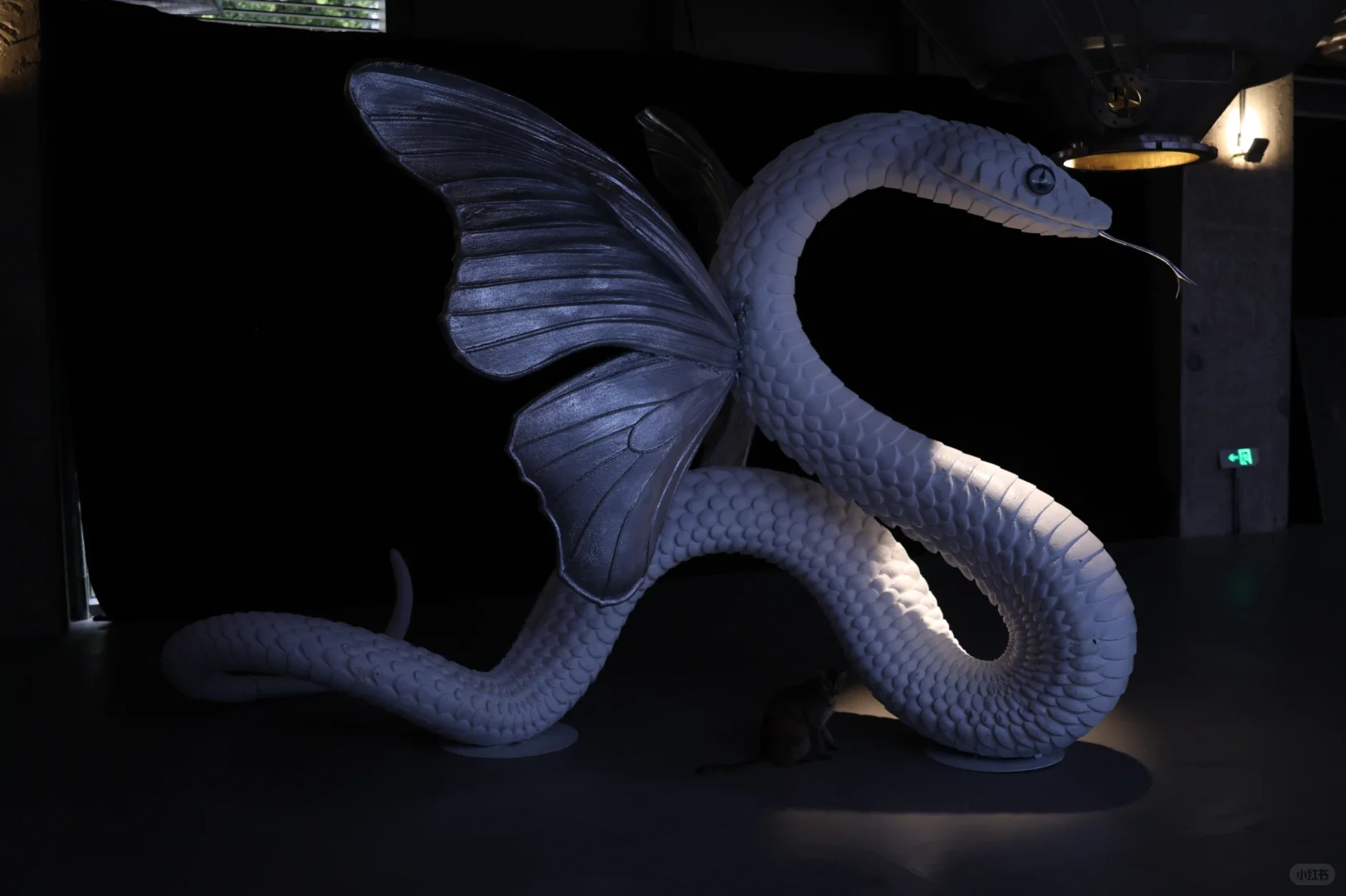 深圳炒鸡出片新展?先锋花园