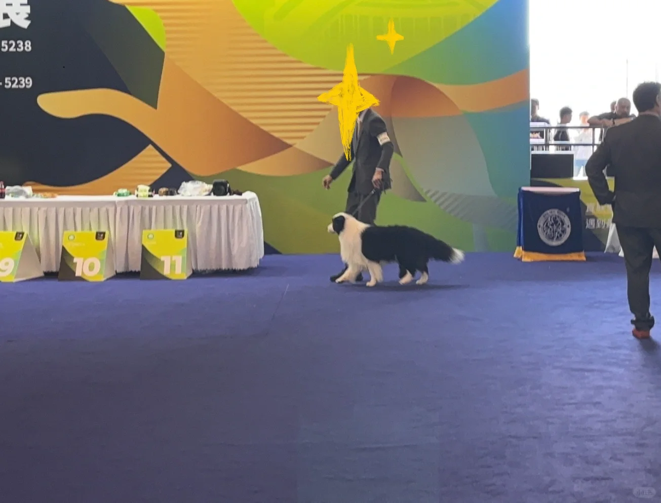 和好闺闺去逛了第八届昆明东盟宠物博览会