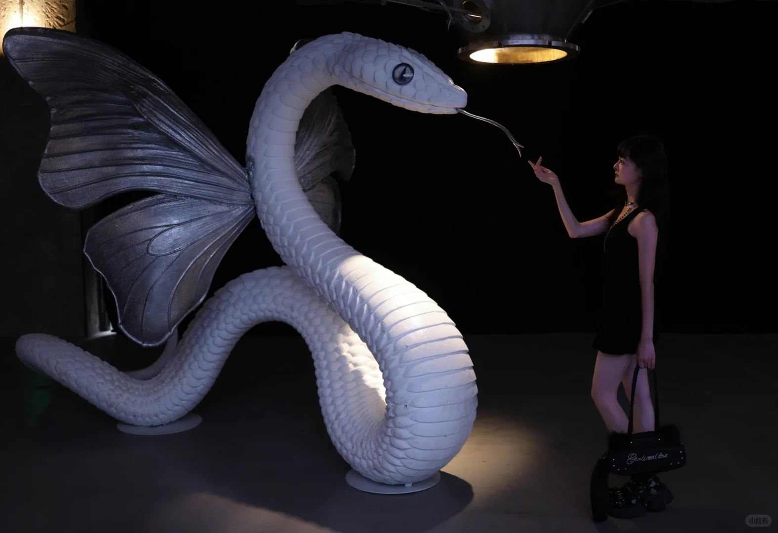 深圳炒鸡出片新展?先锋花园