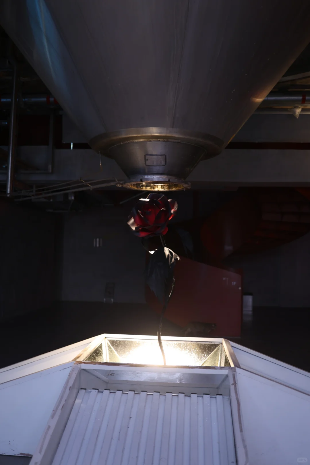 深圳炒鸡出片新展?先锋花园