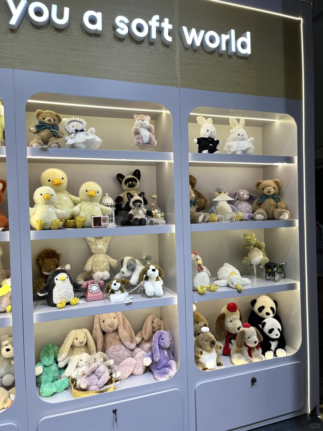 35岁不想上班，自己开网店，上周去展会找品了