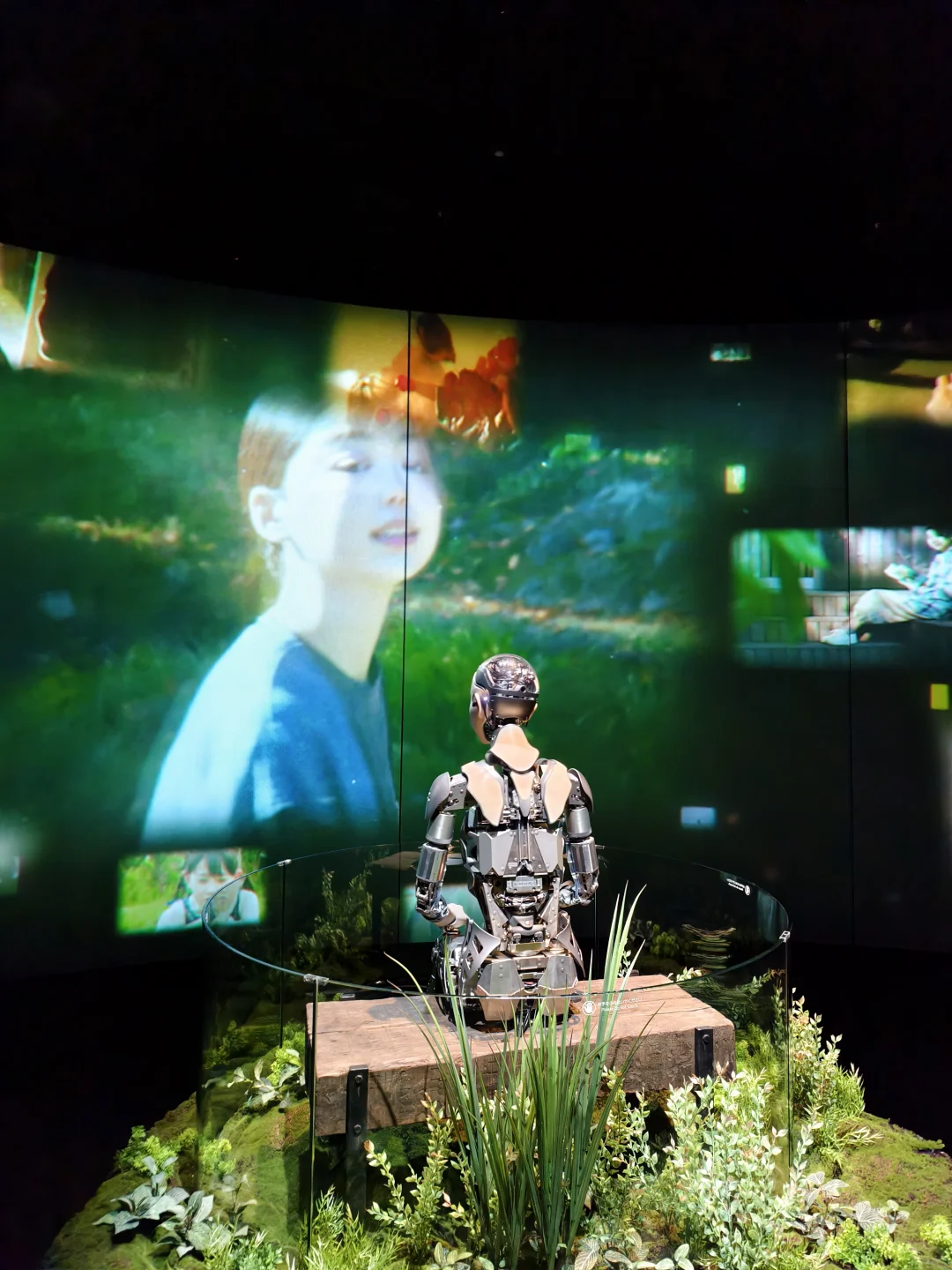 大阪世博会止损攻略，来都来了怎么办？