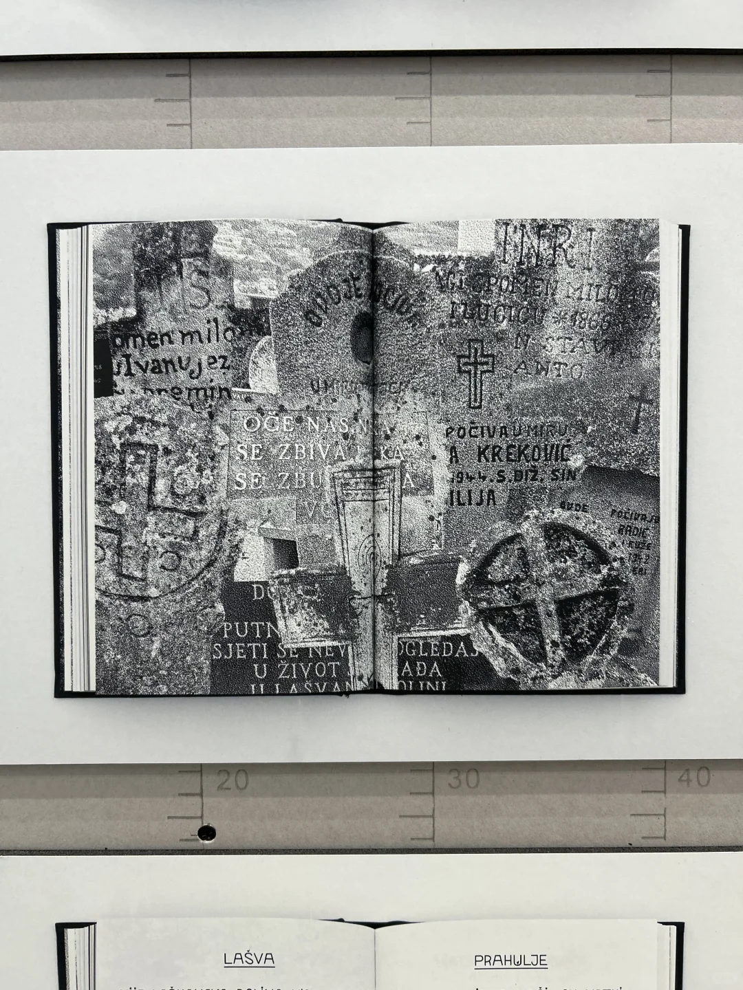 杭州看展｜TDC 2024-2025