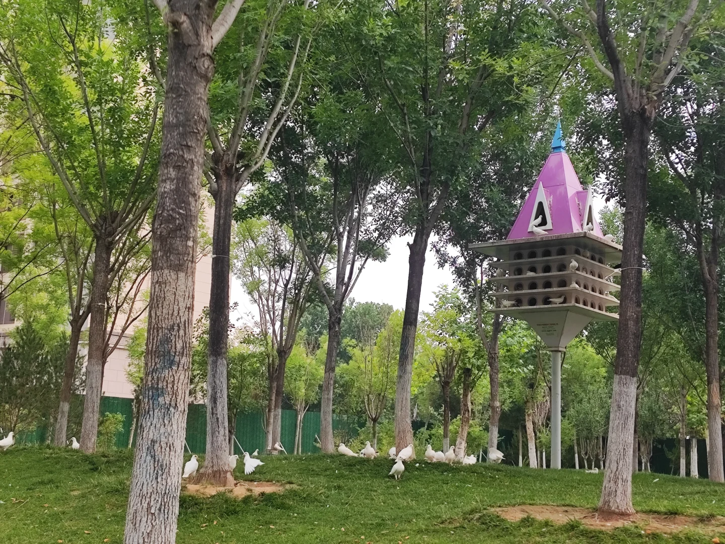 ✨邯郸遛娃?永洋儿童π