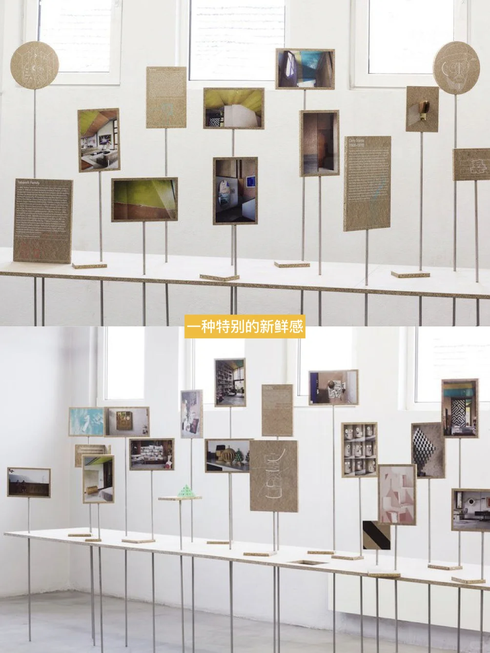 ?花小钱办大事：不白嫖，自己策展的全攻略！