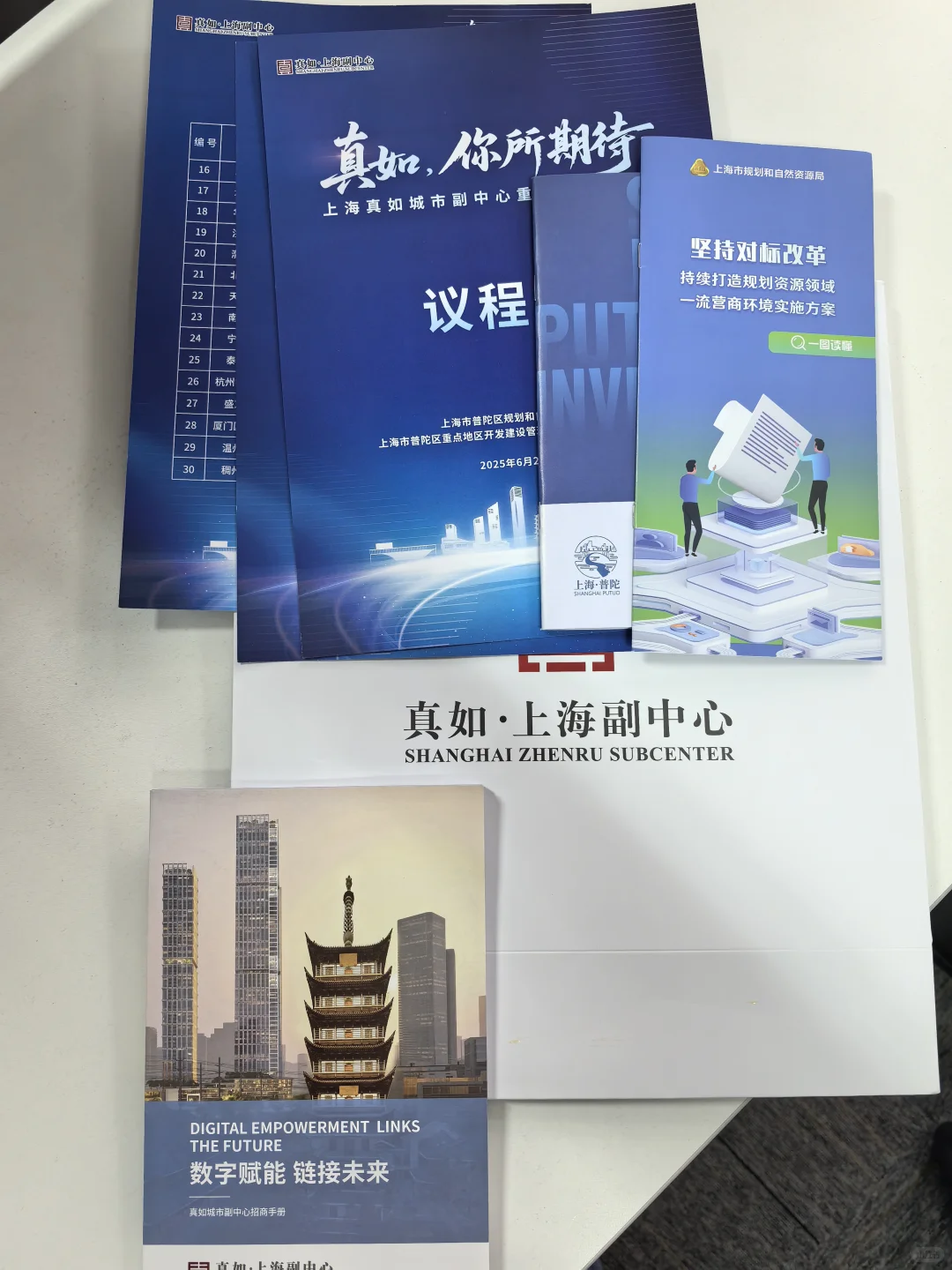 受邀参加普陀真如土地推介会