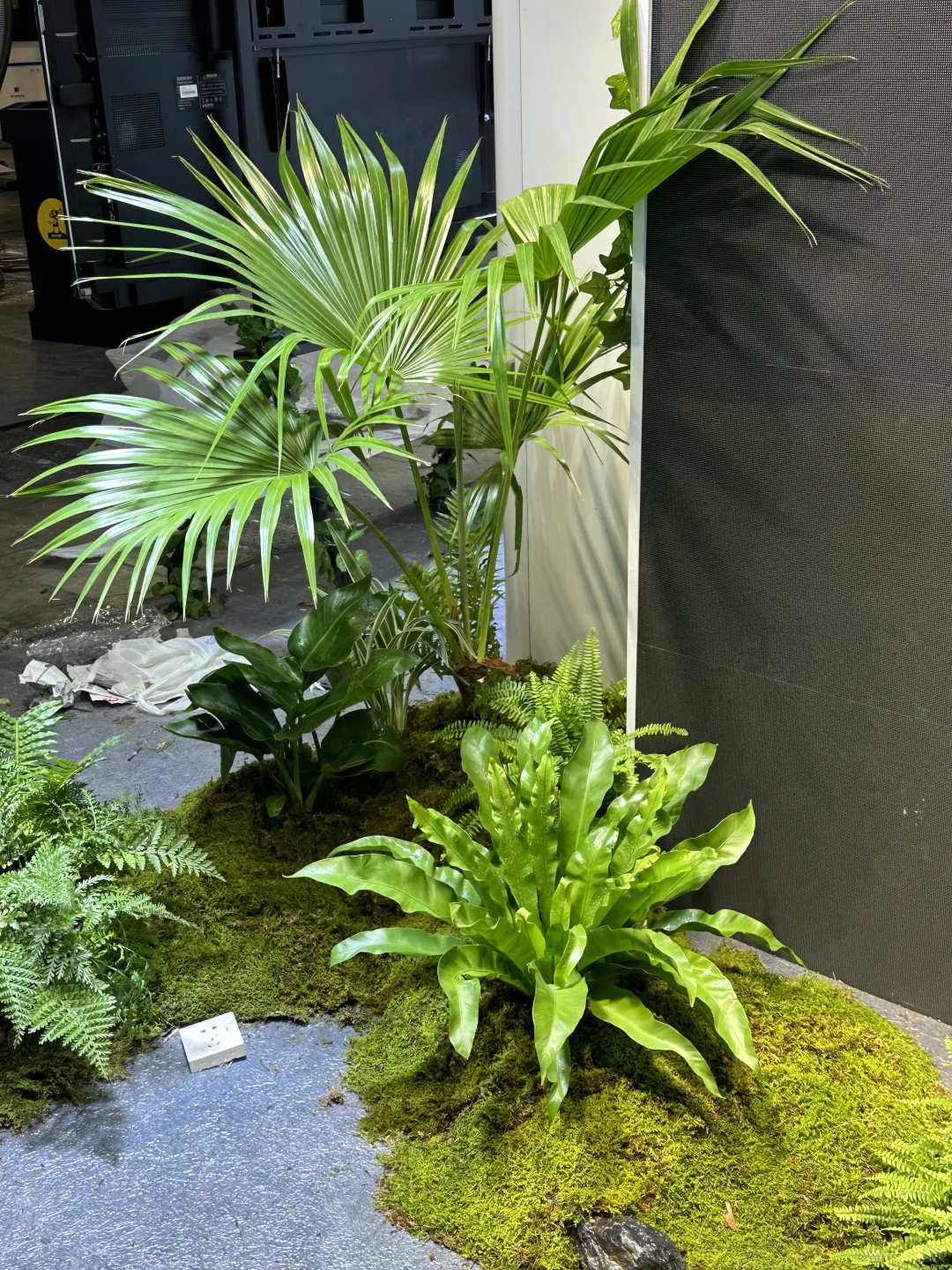 ???☘️?｜上海展会绿植布置