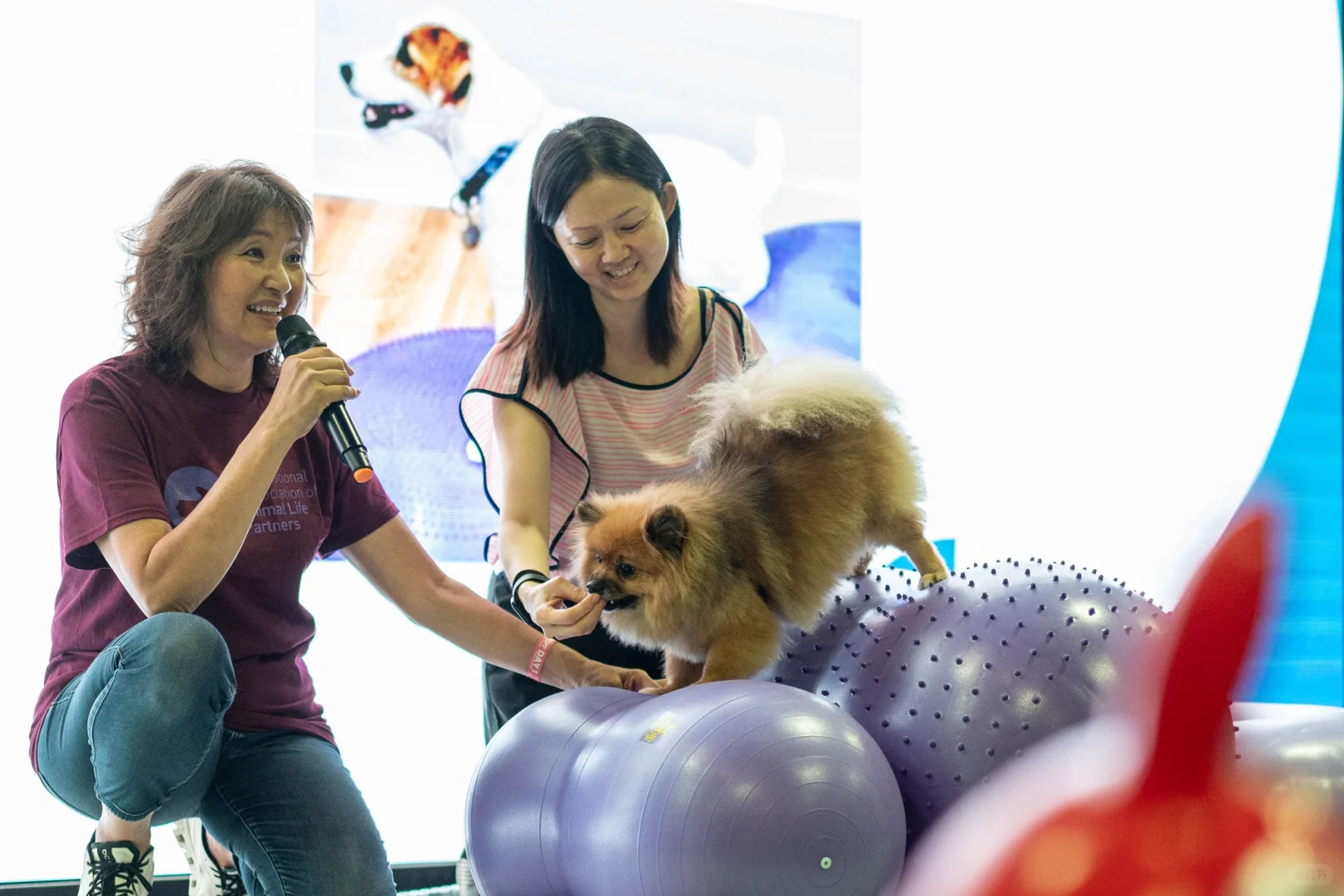 ?? 新加坡最大宠物节来了！毛孩专属天堂?