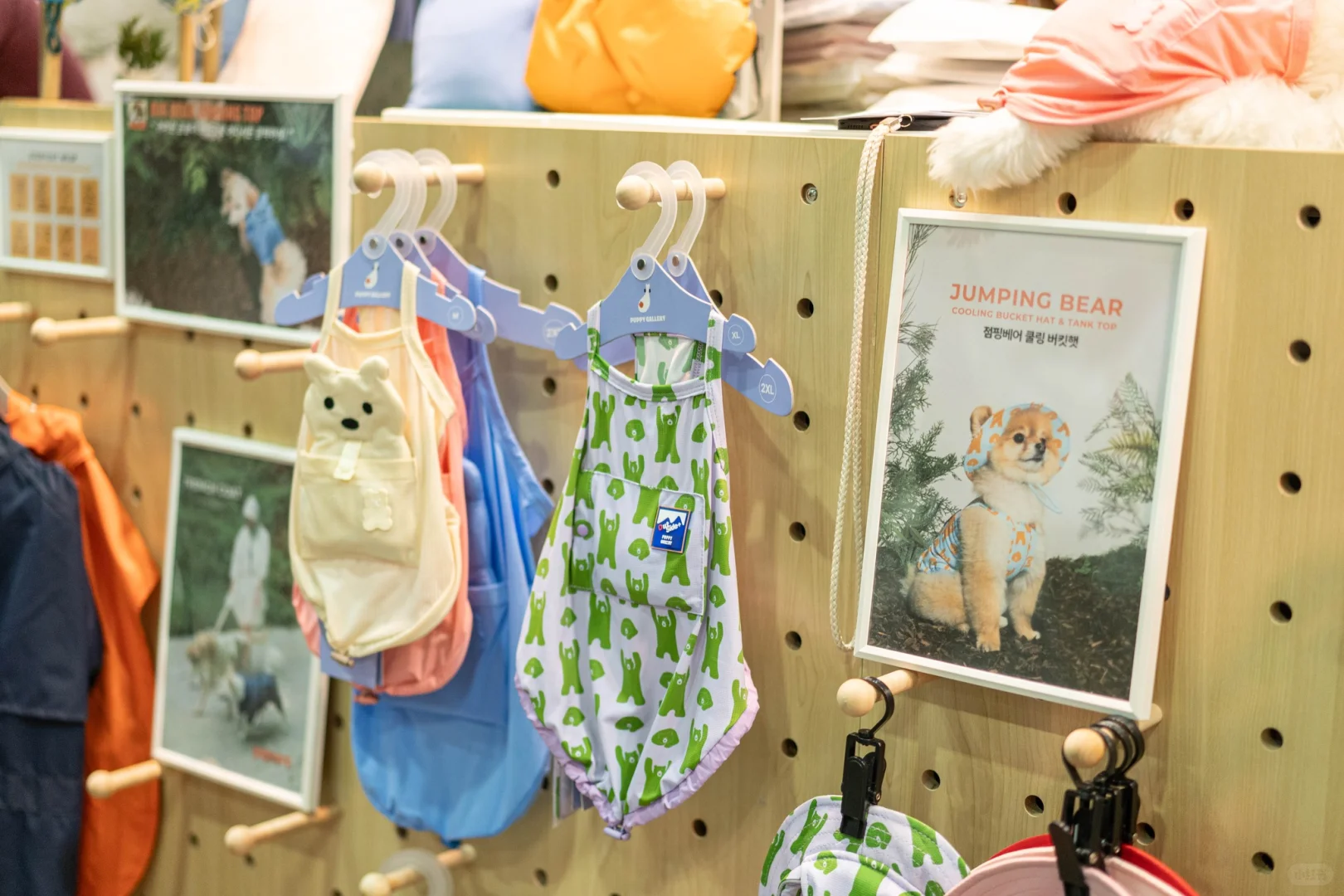 ?? 新加坡最大宠物节来了！毛孩专属天堂?