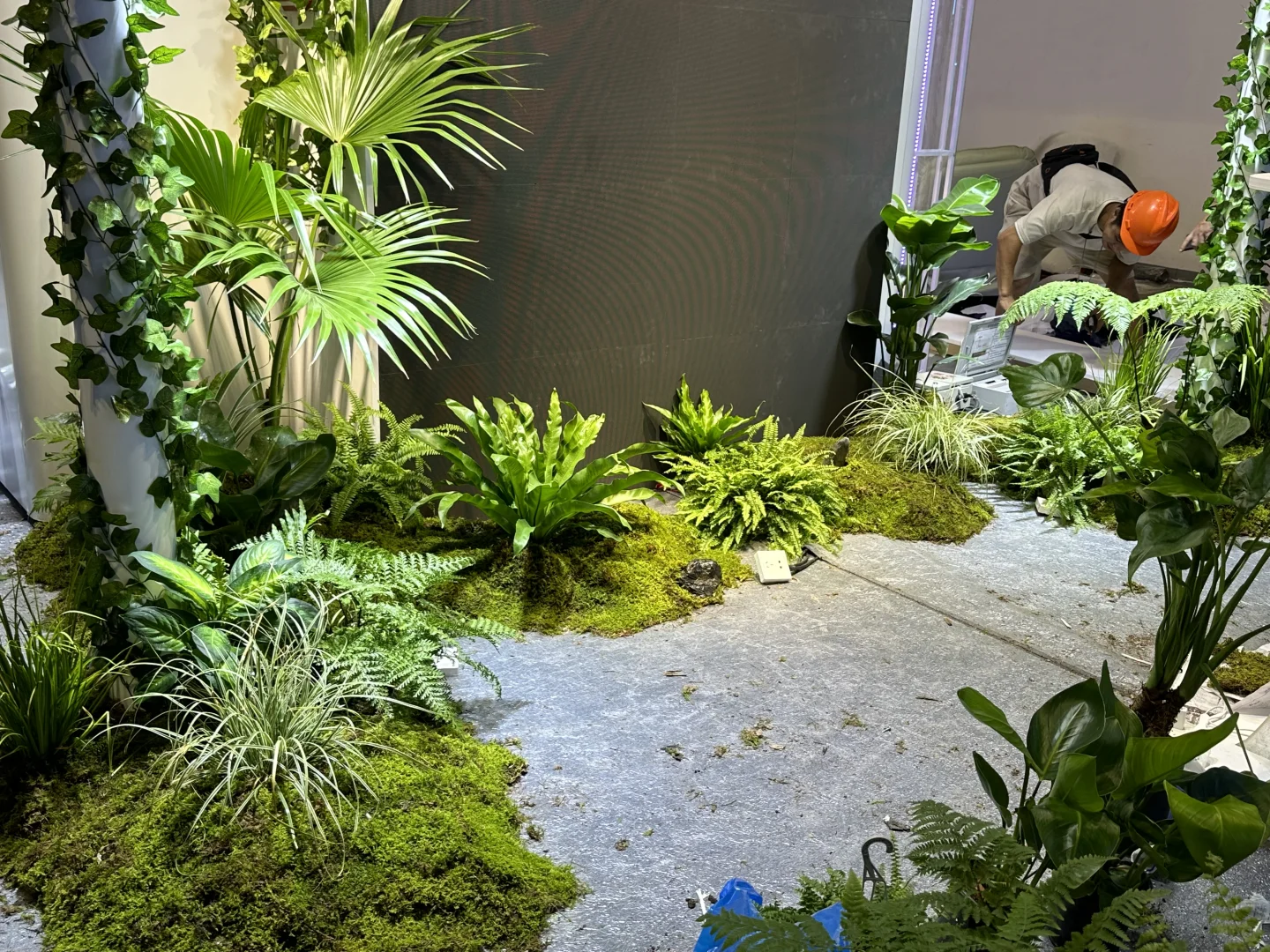 ???☘️?｜上海展会绿植布置