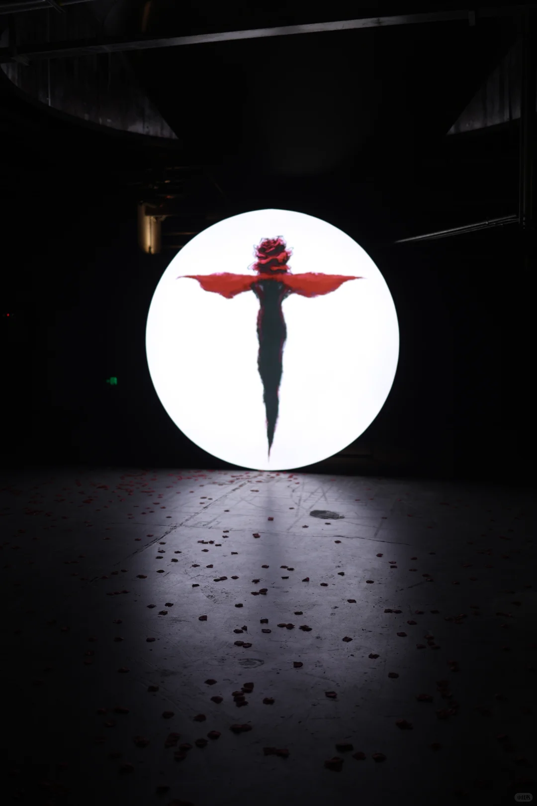 深圳炒鸡出片新展?先锋花园