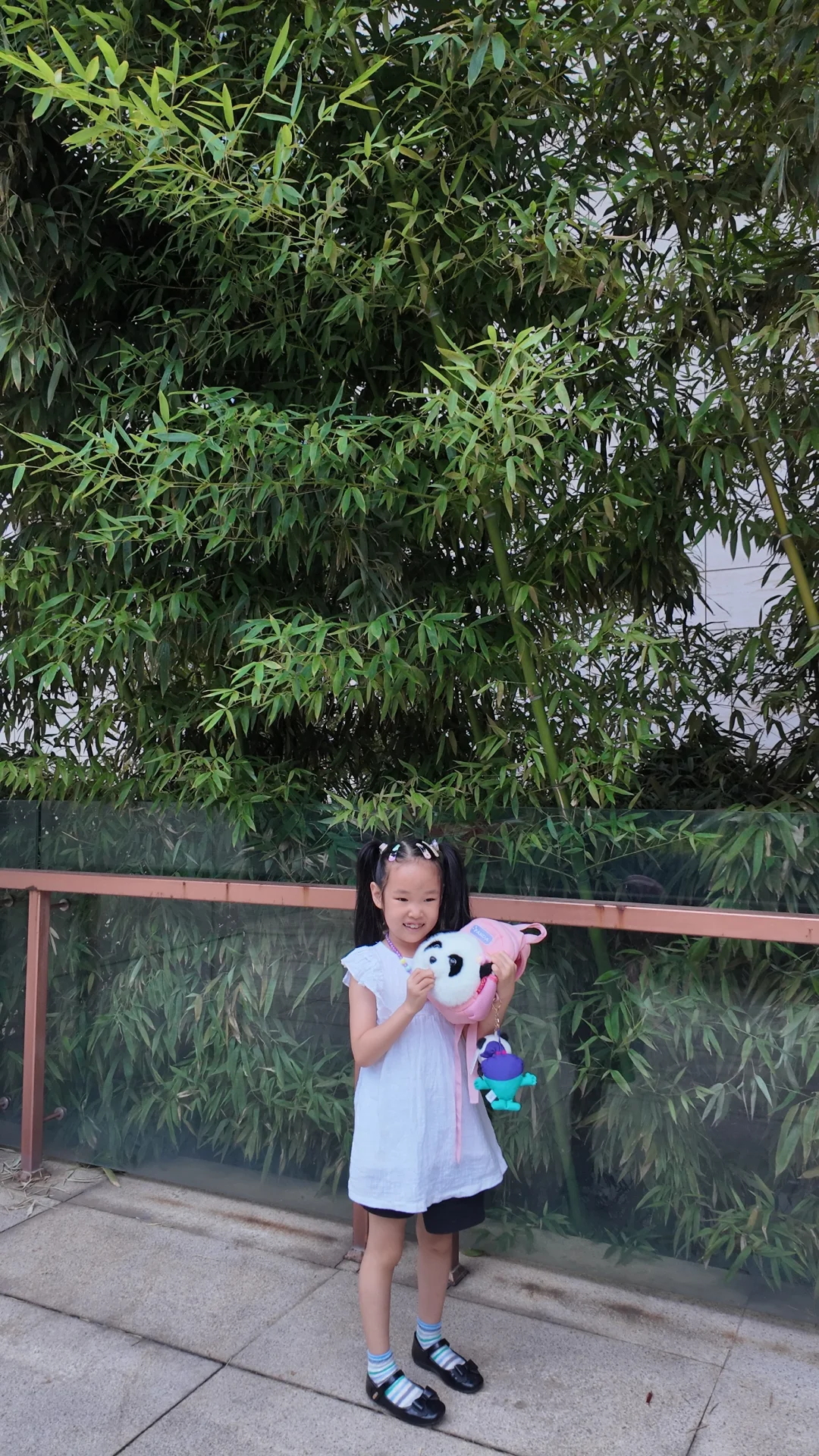 石家庄遛娃丨暑期打卡河博四场临展?