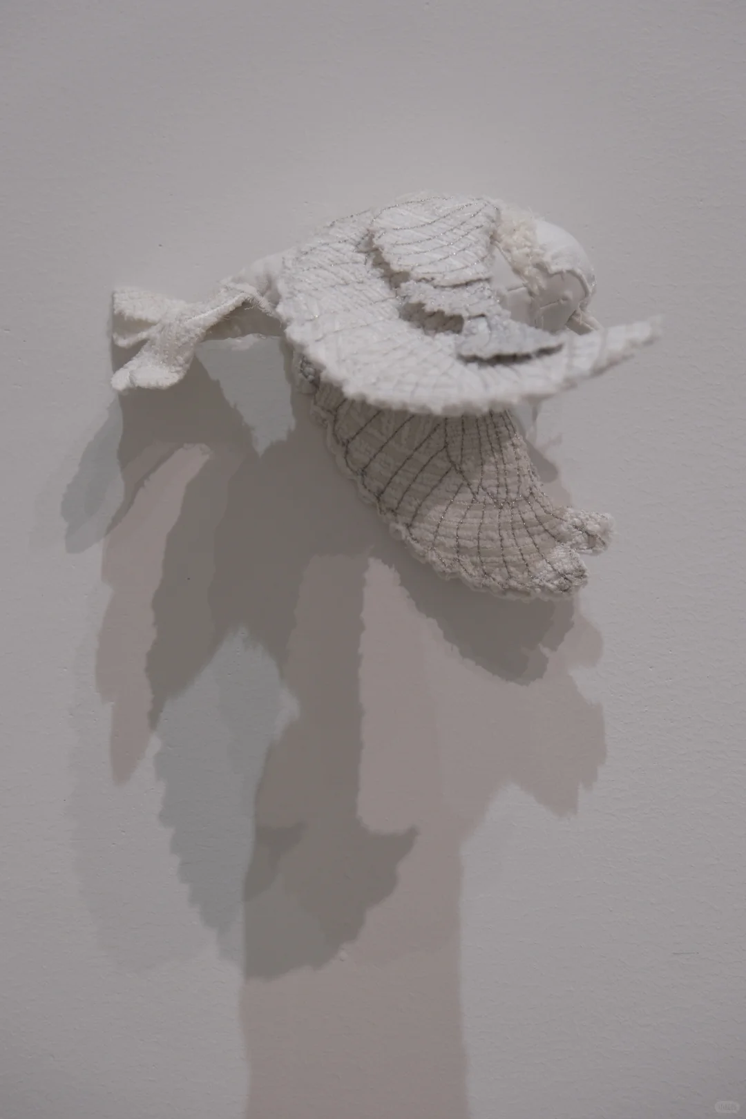 踩着毕业展的尾巴、回广美看展～?