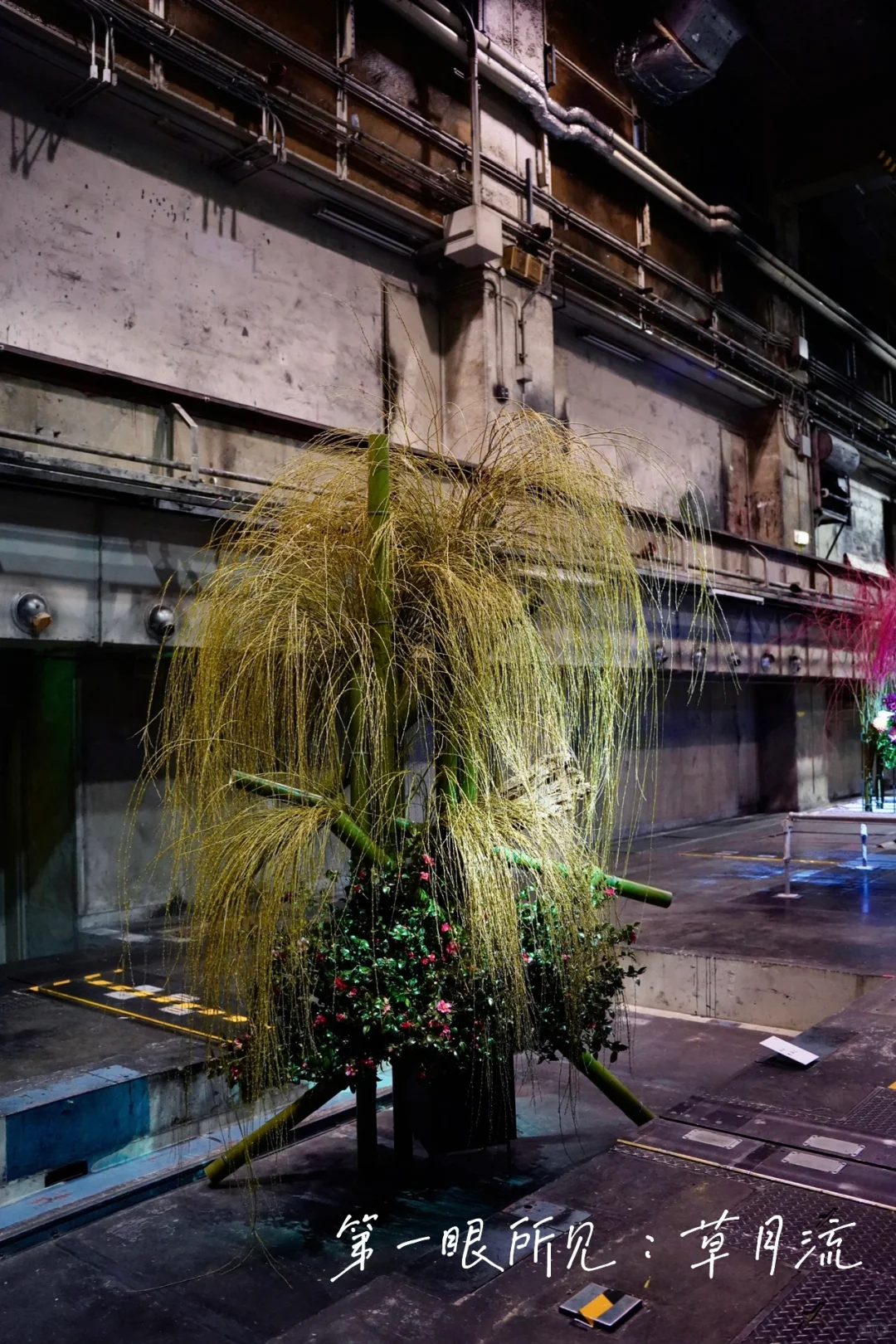 京都 Ⅰ 在废旧印刷厂看一场花道展