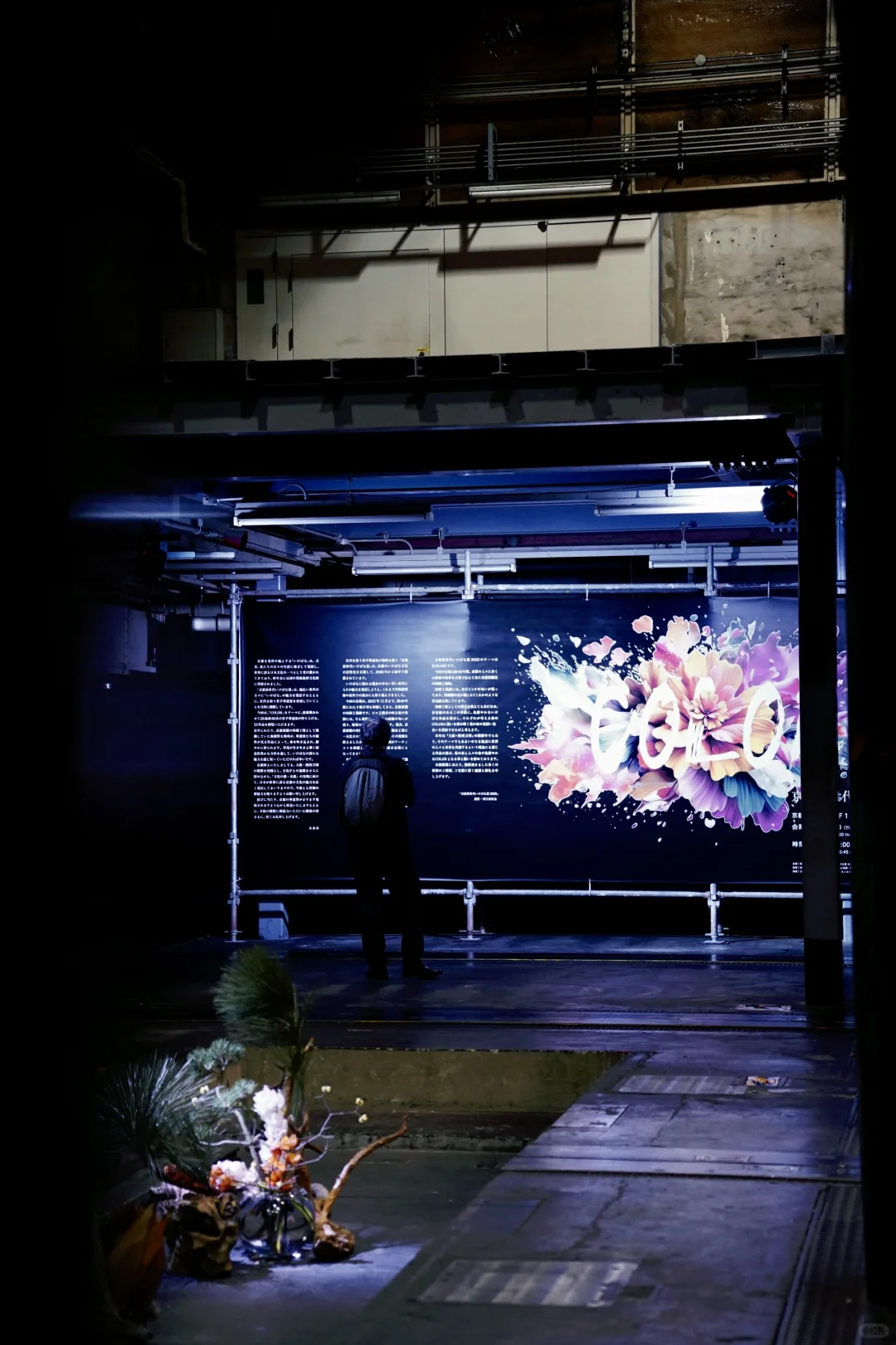 京都 Ⅰ 在废旧印刷厂看一场花道展