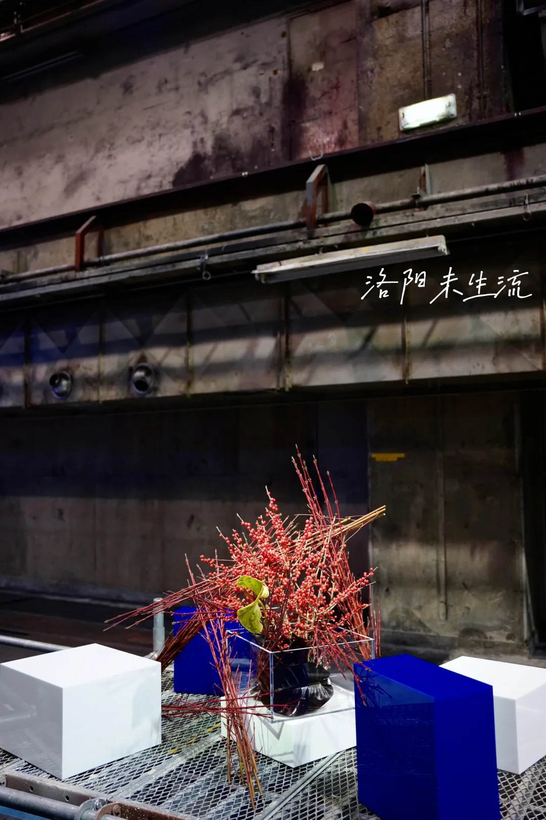 京都 Ⅰ 在废旧印刷厂看一场花道展