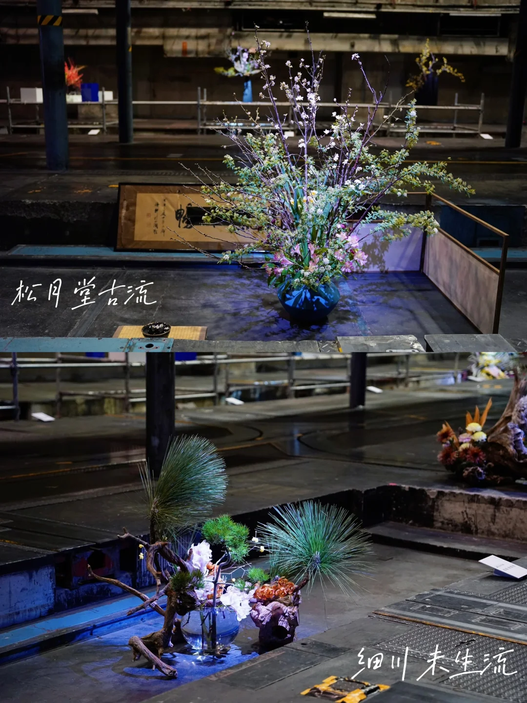 京都 Ⅰ 在废旧印刷厂看一场花道展